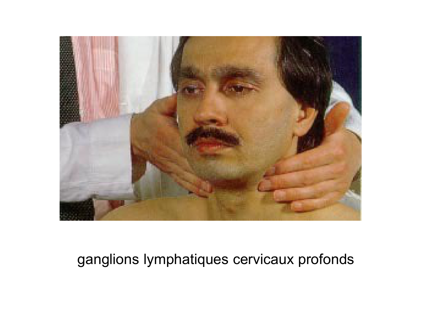 Anatomie du système de défense2 page 27