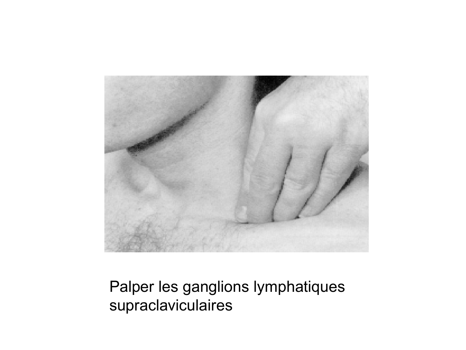 Anatomie du système de défense2 page 33