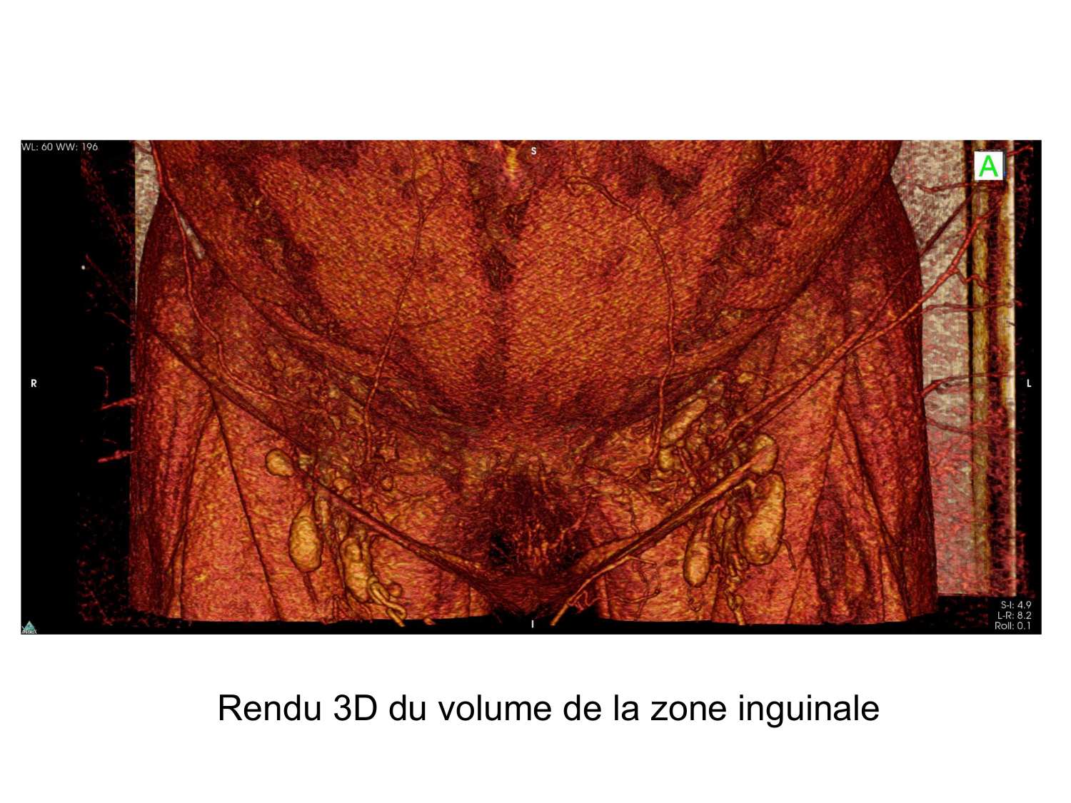 Anatomie du système de défense2 page 40