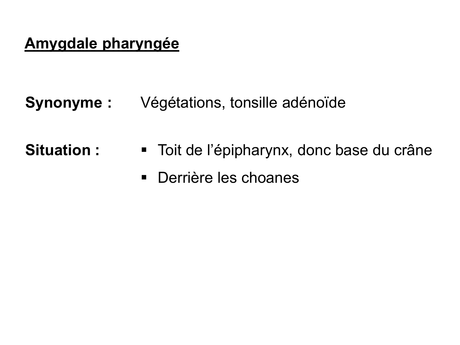 Anatomie du système de défense2 page 59