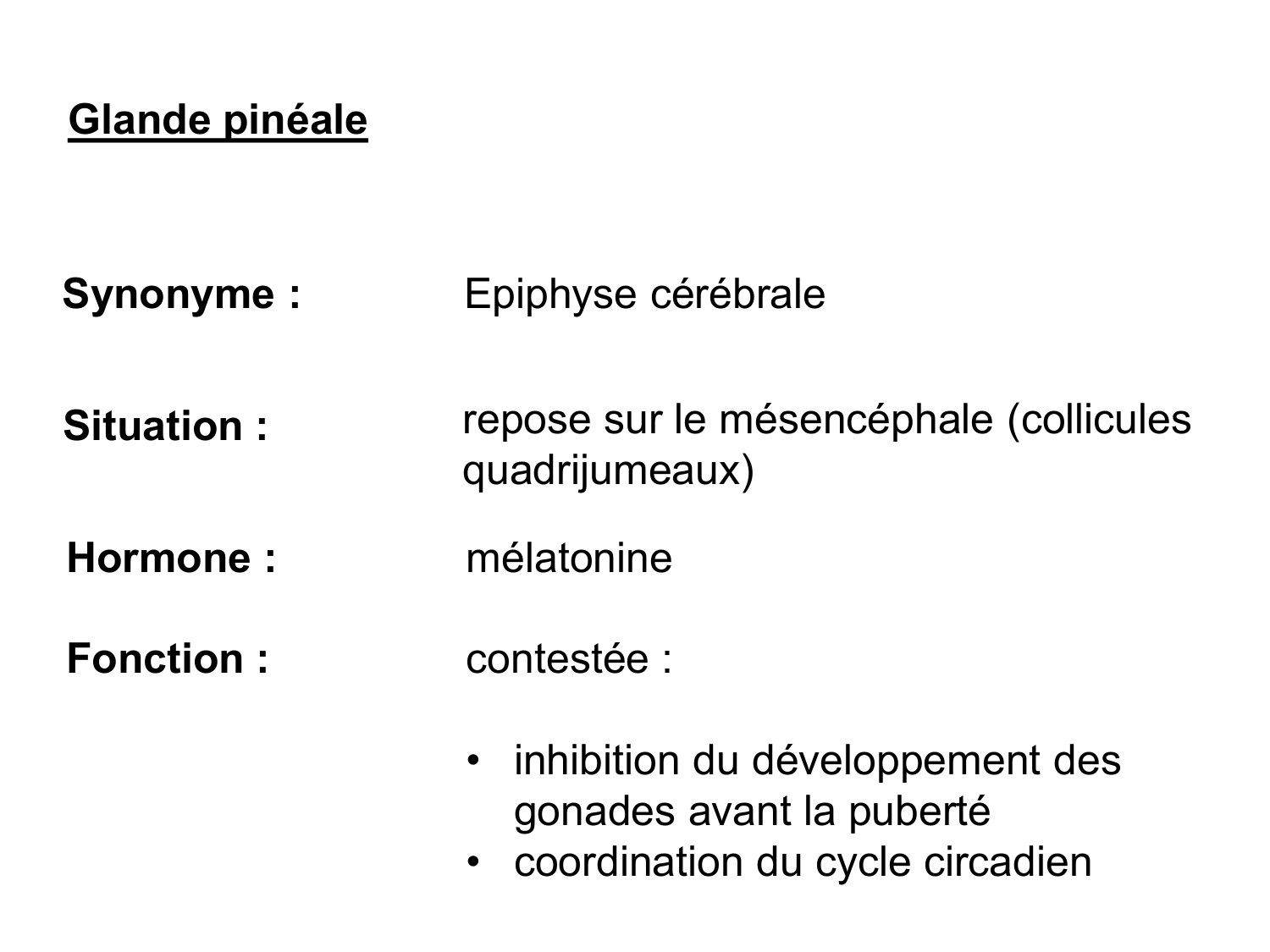 Anatomie du système endocrinien2 page 7