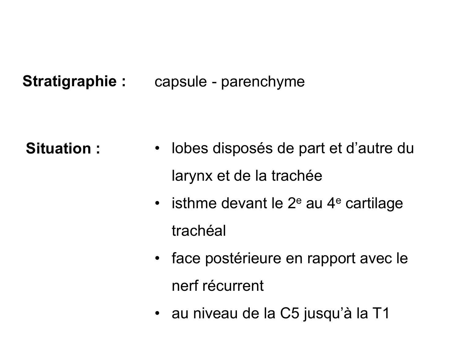 Anatomie du système endocrinien2 page 28