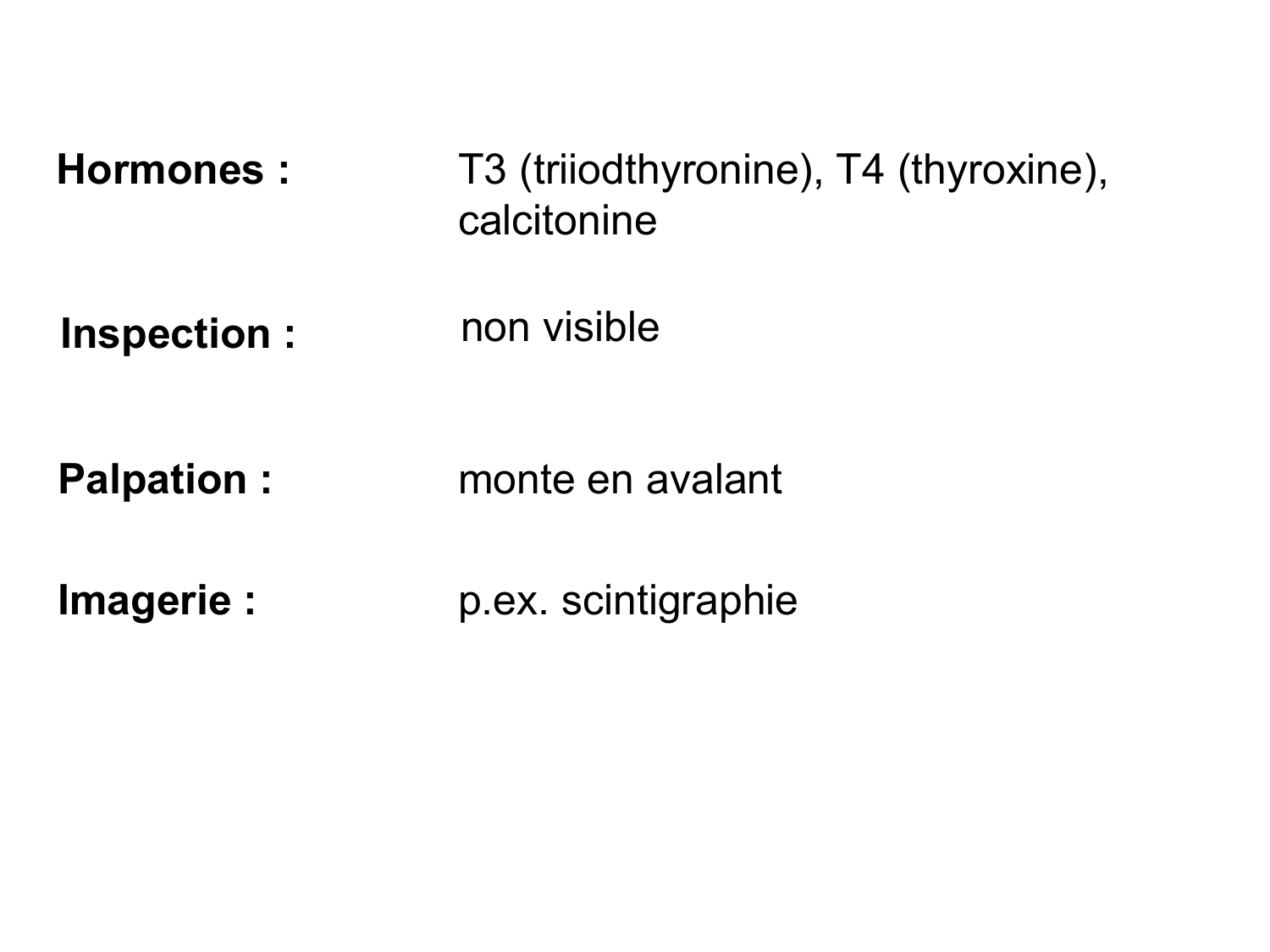 Anatomie du système endocrinien2 page 33