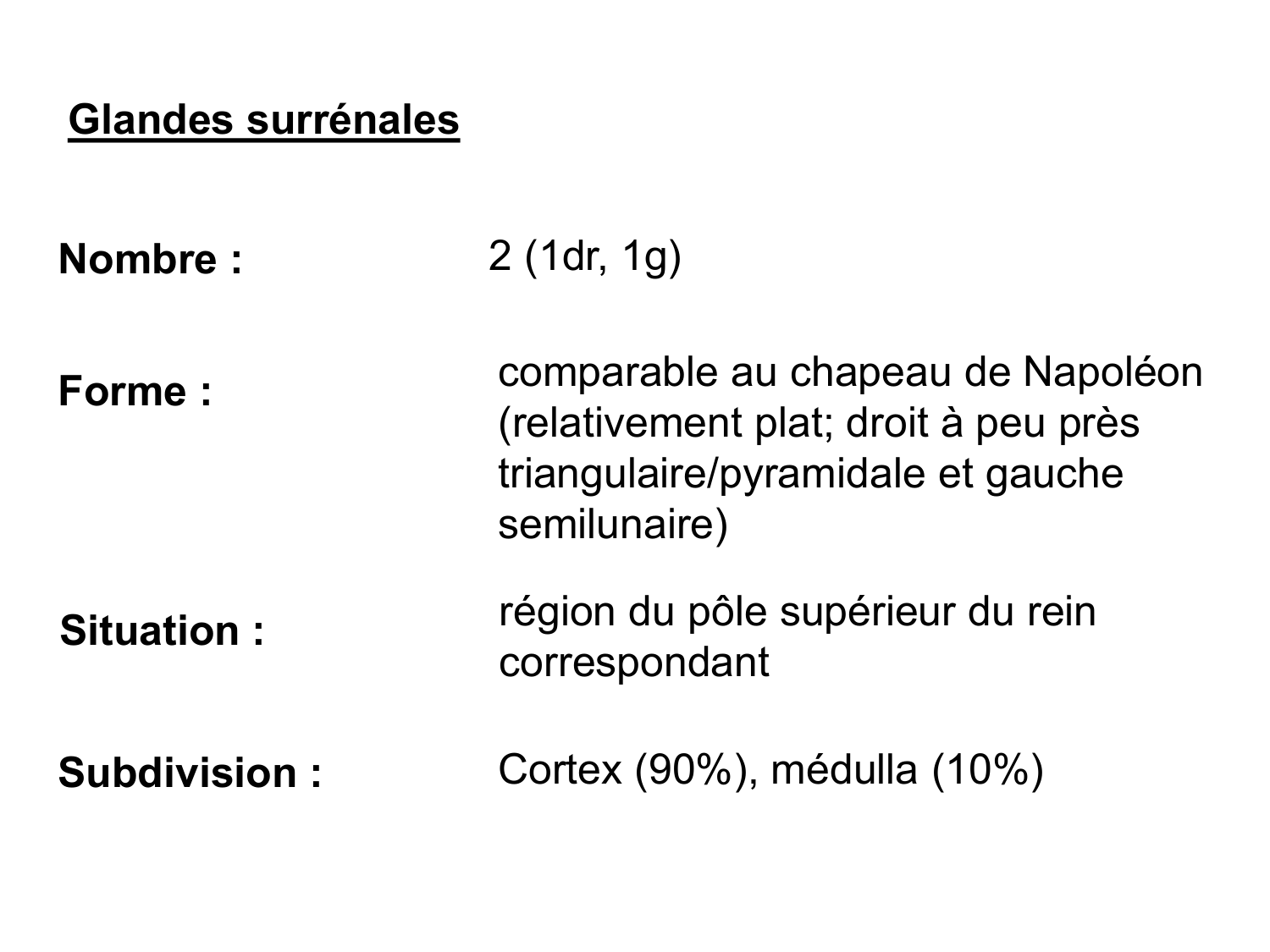 Anatomie du système endocrinien2 page 44