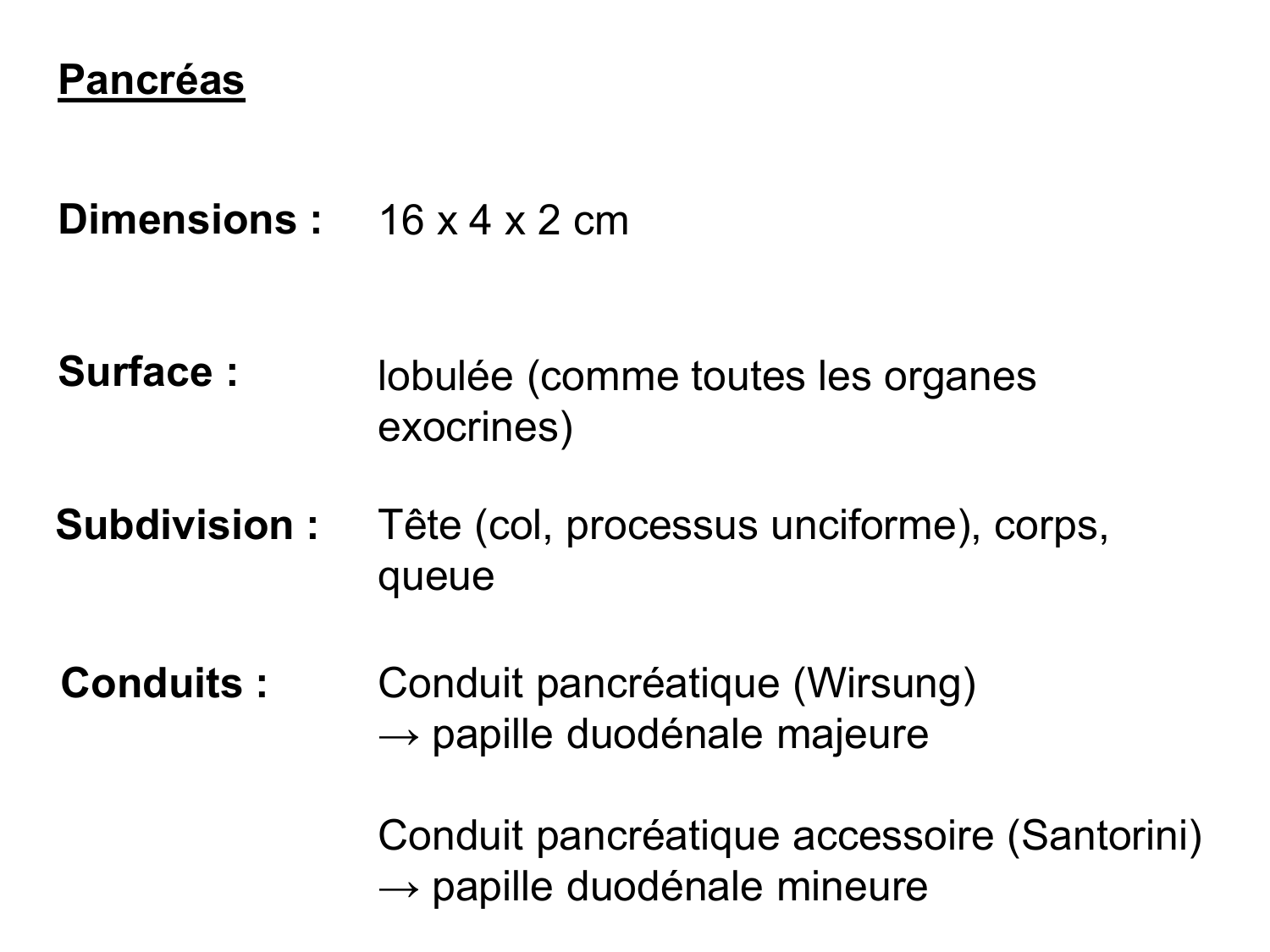 Anatomie du système endocrinien2 page 54