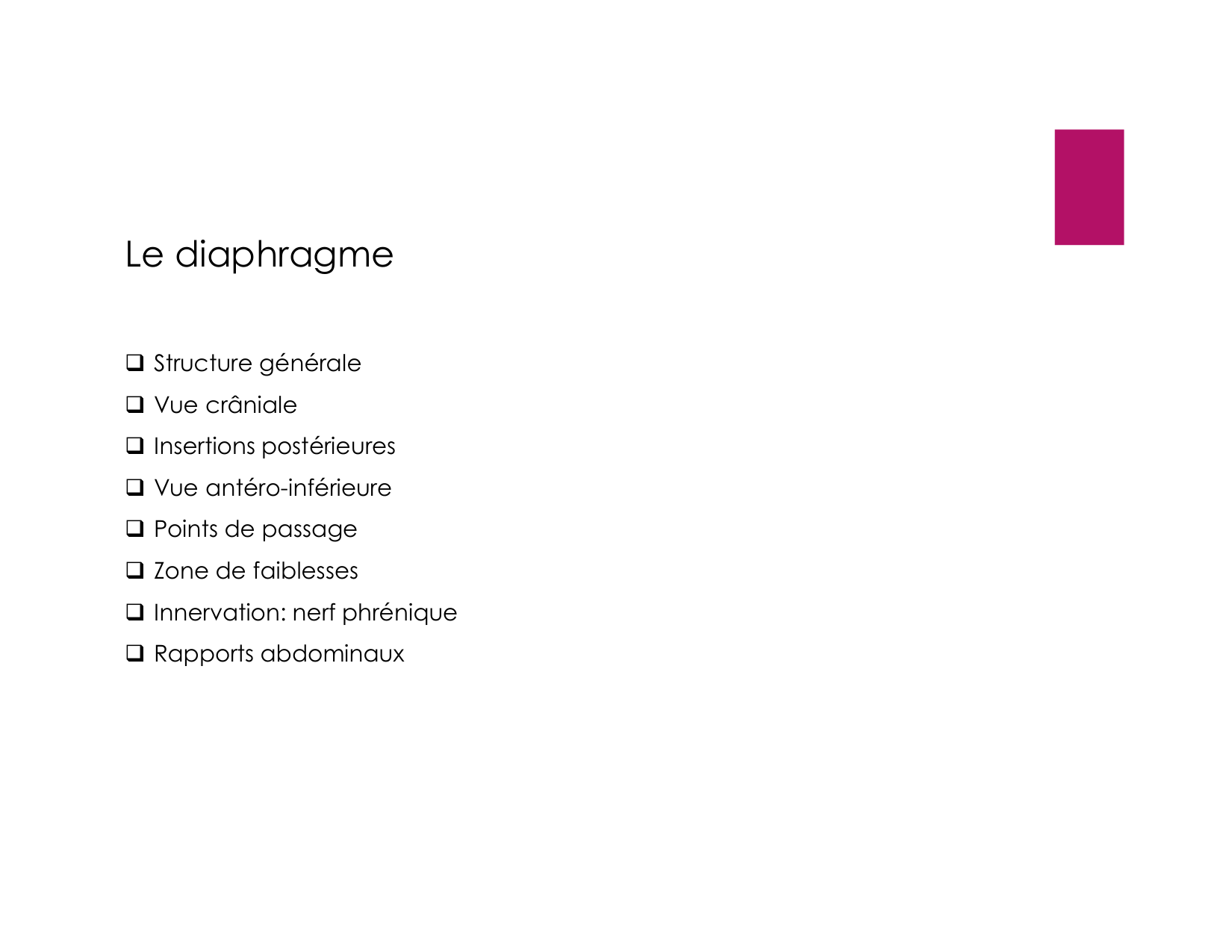 Anatomie pulmonaire 2025 2026 page 47