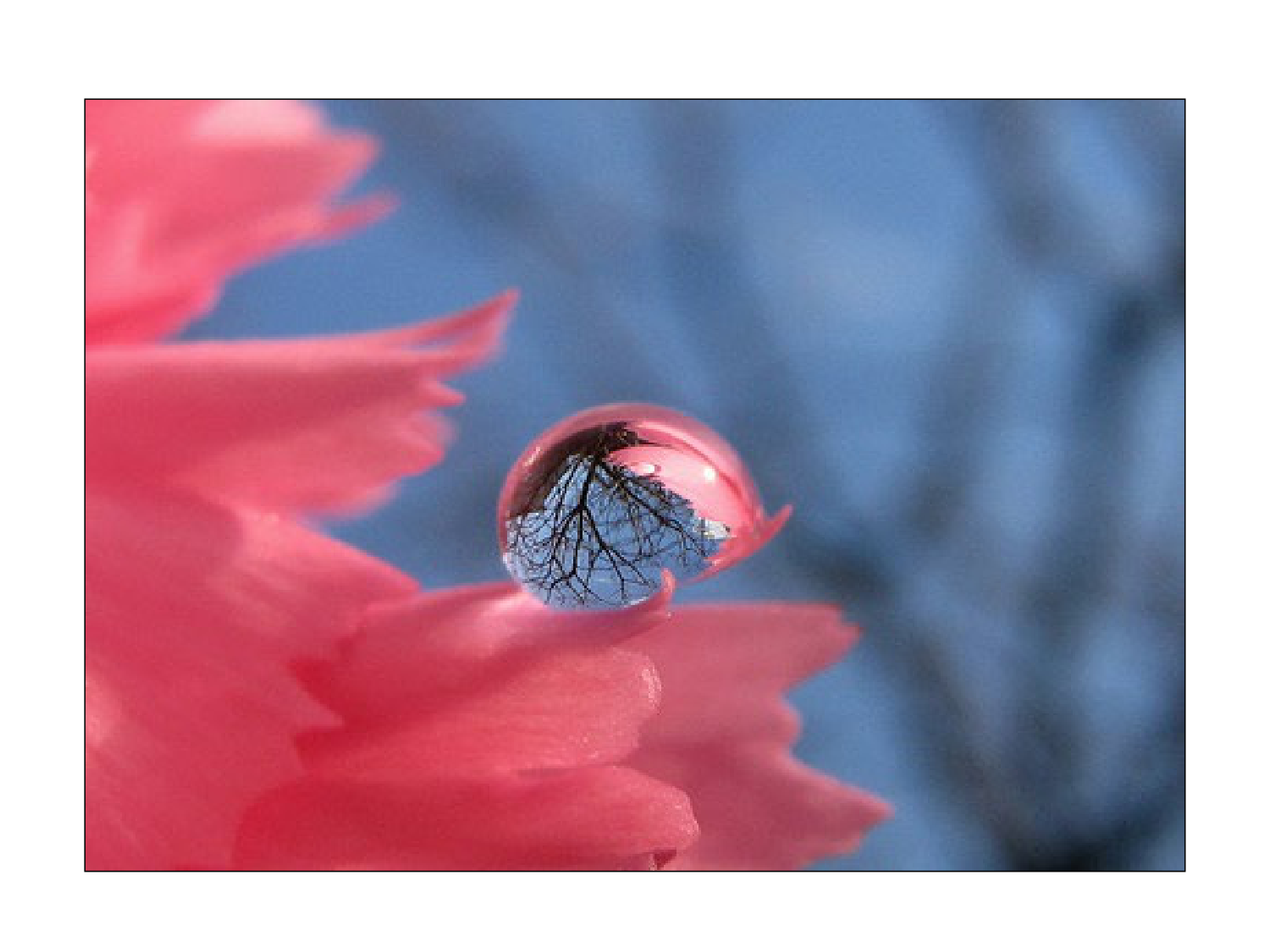 Rein, voies urinaires et retropéritoine page 3