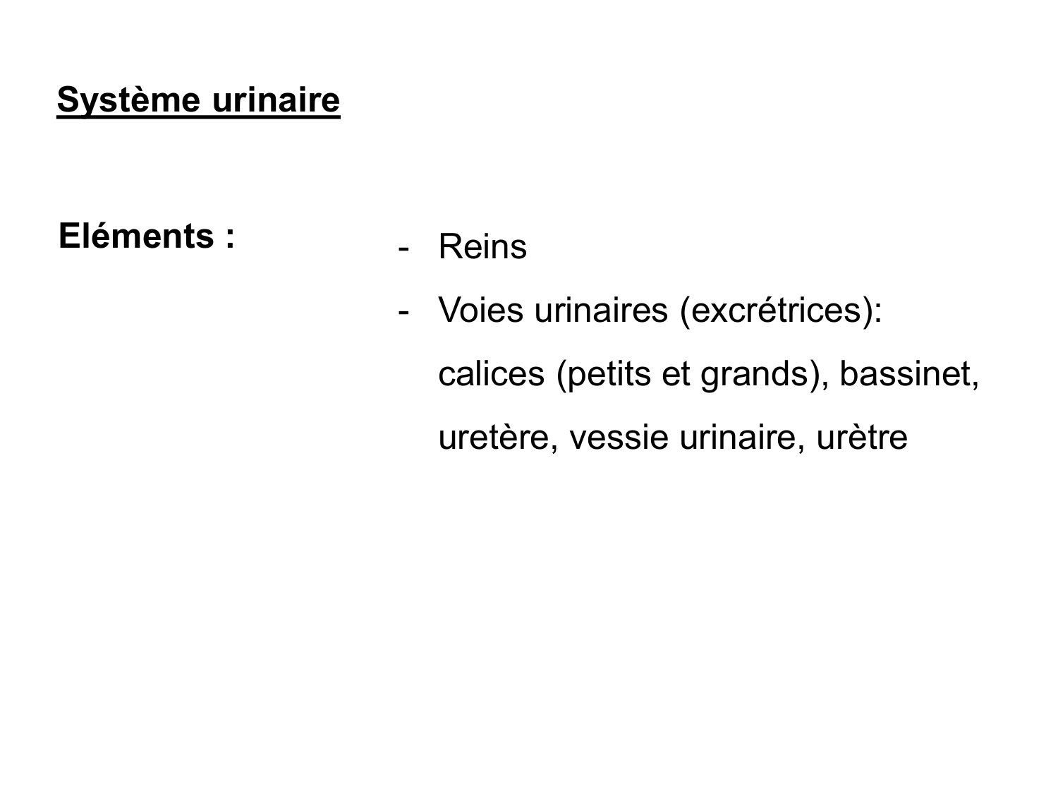 Rein, voies urinaires et retropéritoine page 13