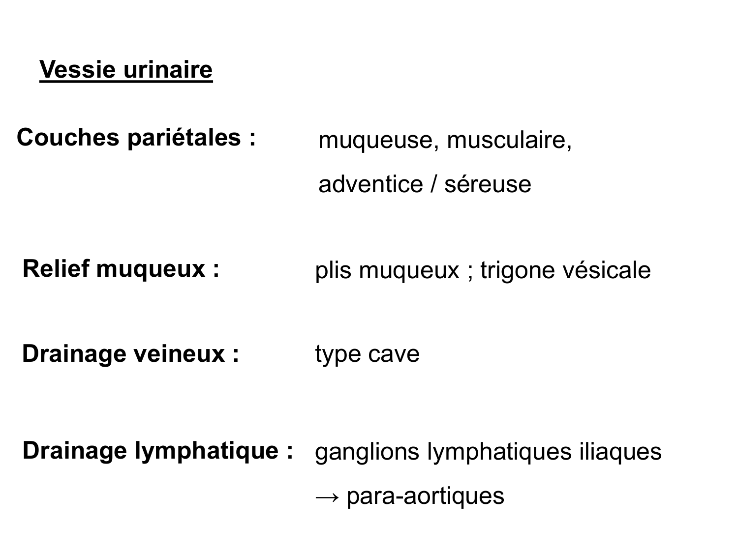 Rein, voies urinaires et retropéritoine page 60