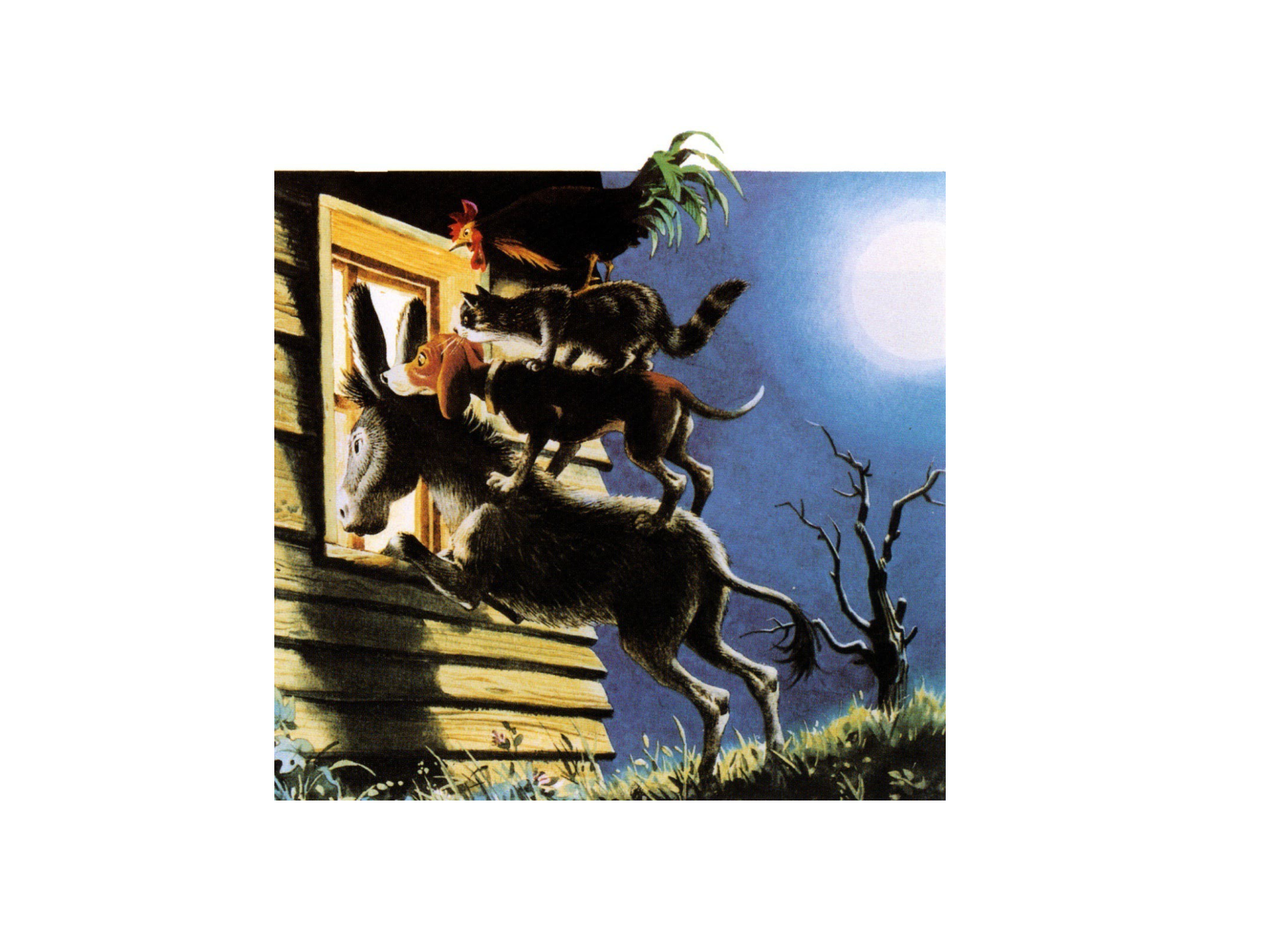 Rein, voies urinaires et retropéritoine page 63