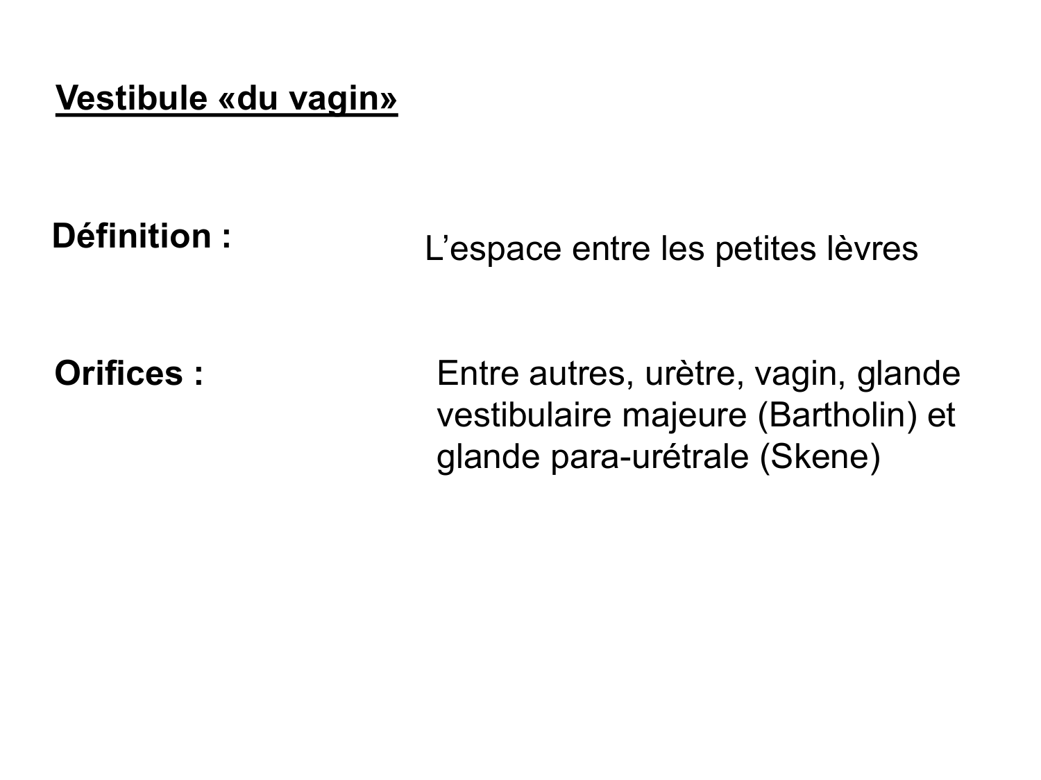 Splanchnologie generale; Pelvis-Perinée système reproducteur (homme et femme)1 page 74