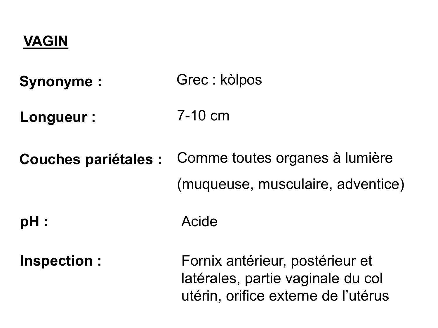 Splanchnologie generale; Pelvis-Perinée système reproducteur (homme et femme)1 page 78
