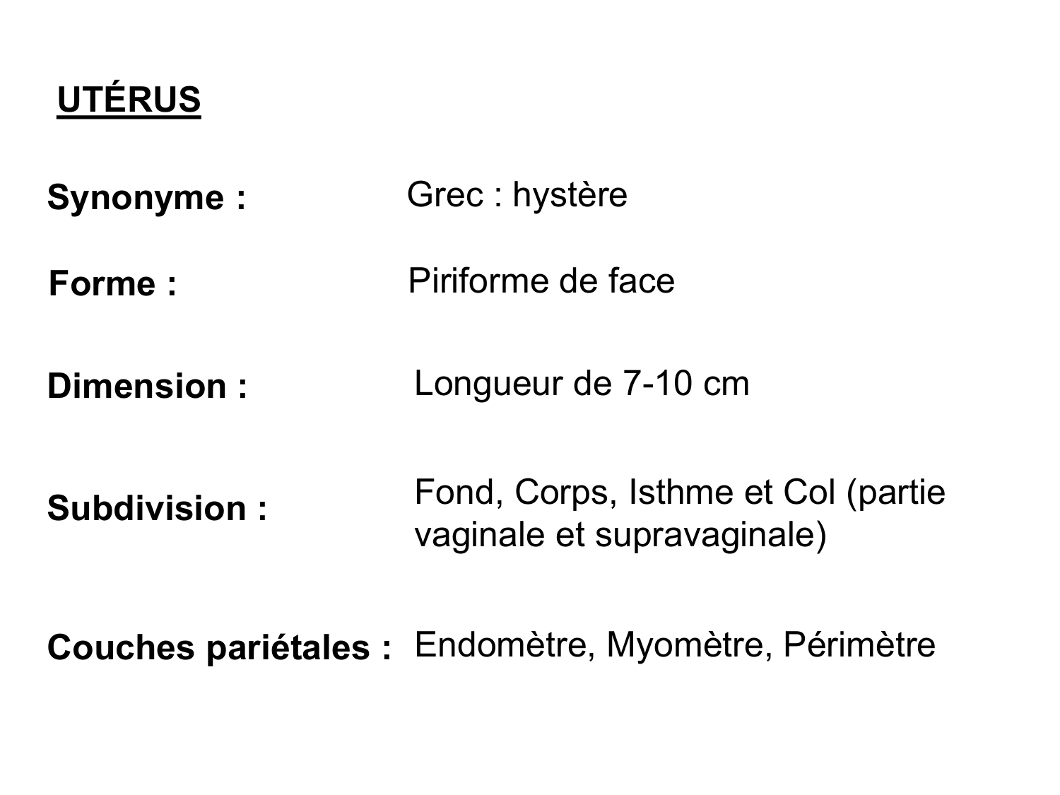 Splanchnologie generale; Pelvis-Perinée système reproducteur (homme et femme)1 page 82
