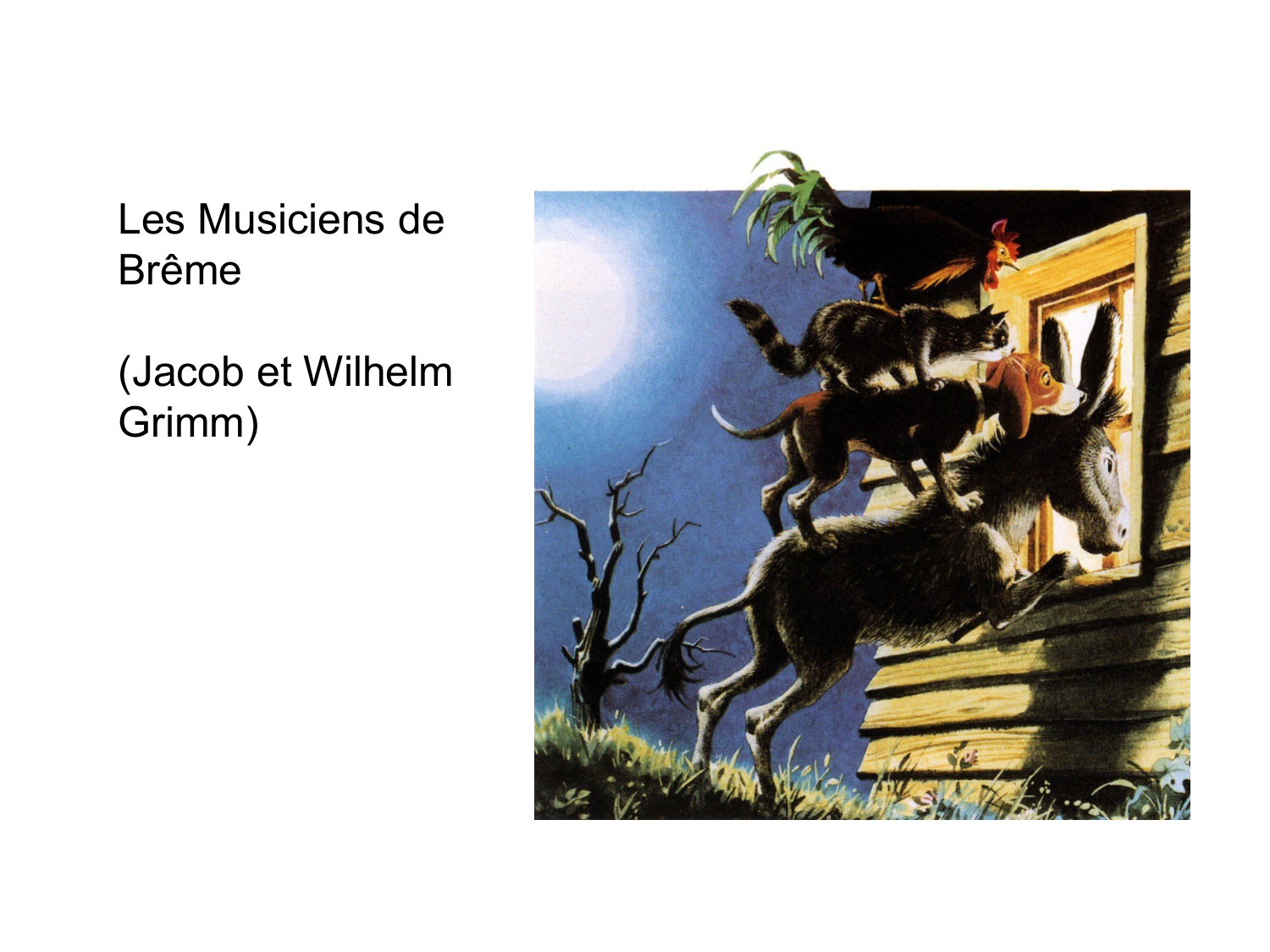 Splanchnologie generale; Pelvis-Perinée système reproducteur (homme et femme)1 page 91