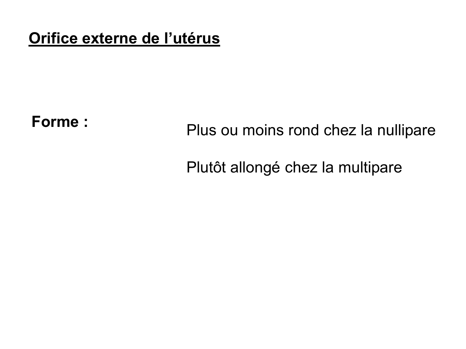 Splanchnologie generale; Pelvis-Perinée système reproducteur (homme et femme)1 page 101