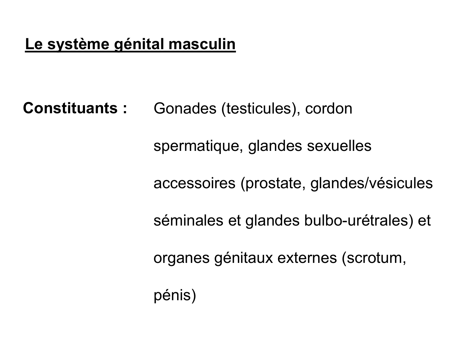 Splanchnologie generale; Pelvis-Perinée système reproducteur (homme et femme)1 page 131