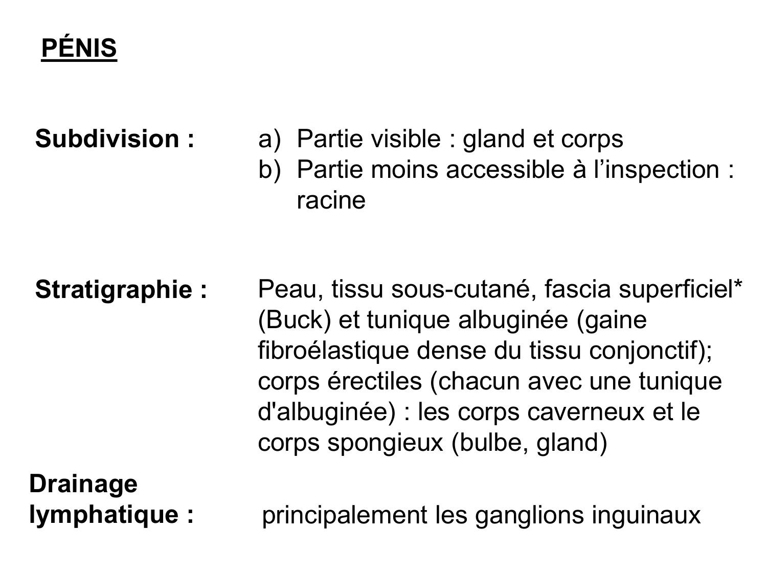 Splanchnologie generale; Pelvis-Perinée système reproducteur (homme et femme)1 page 132