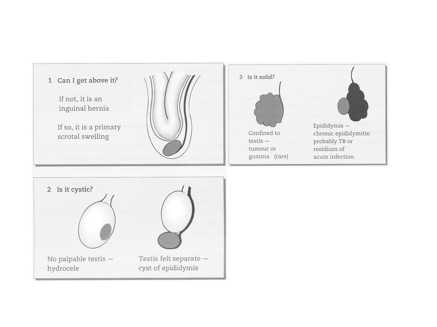 Splanchnologie generale; Pelvis-Perinée système reproducteur (homme et femme)1 page 150