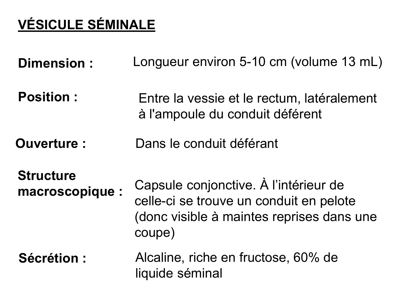 Splanchnologie generale; Pelvis-Perinée système reproducteur (homme et femme)1 page 157