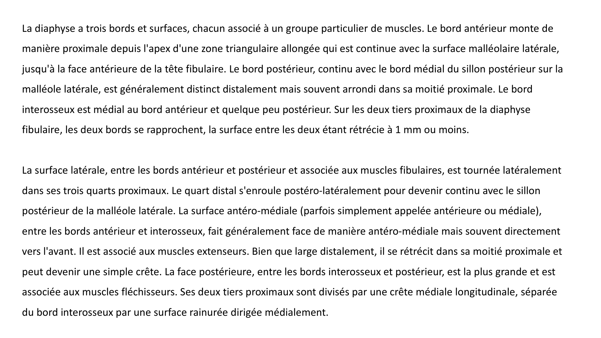 Repérage de la latéralité de la fibula page 7