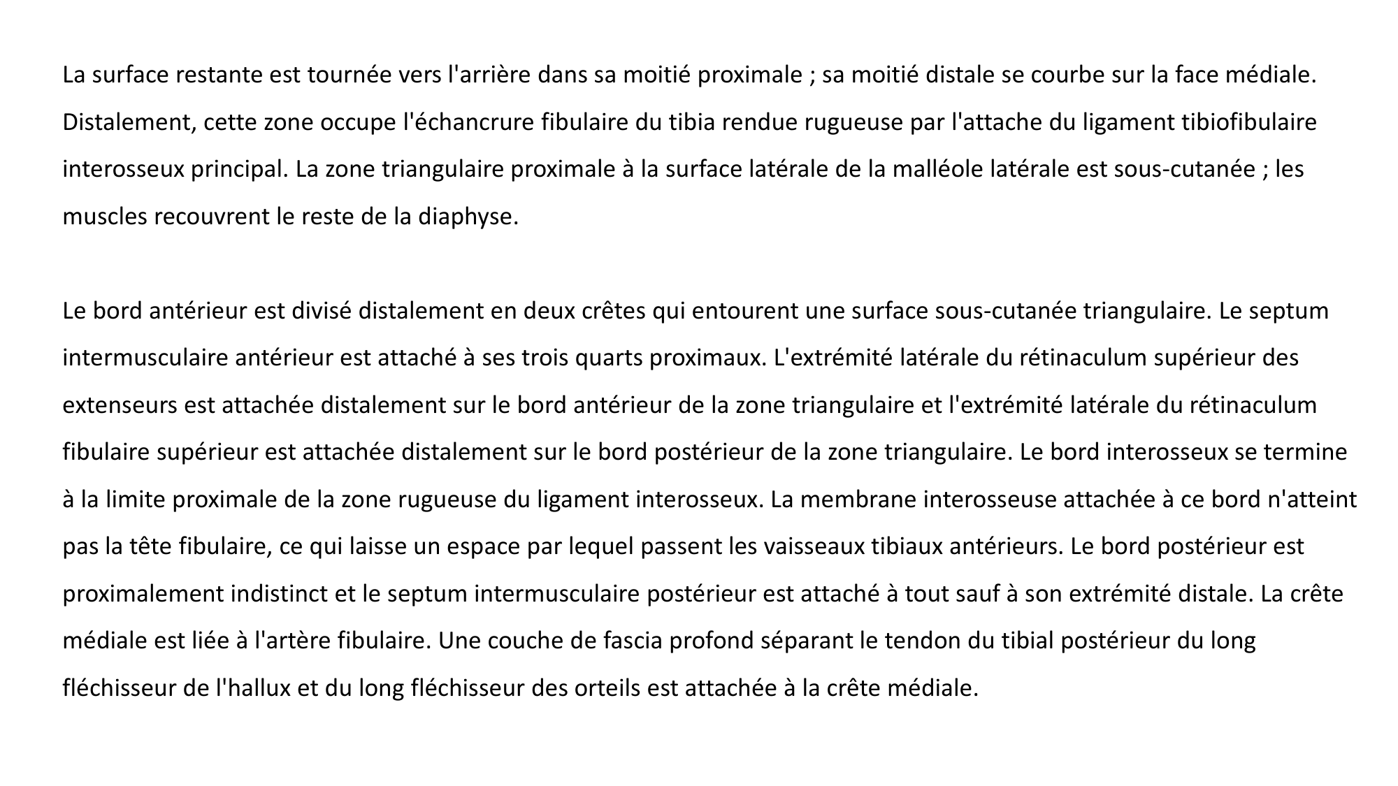 Repérage de la latéralité de la fibula page 8