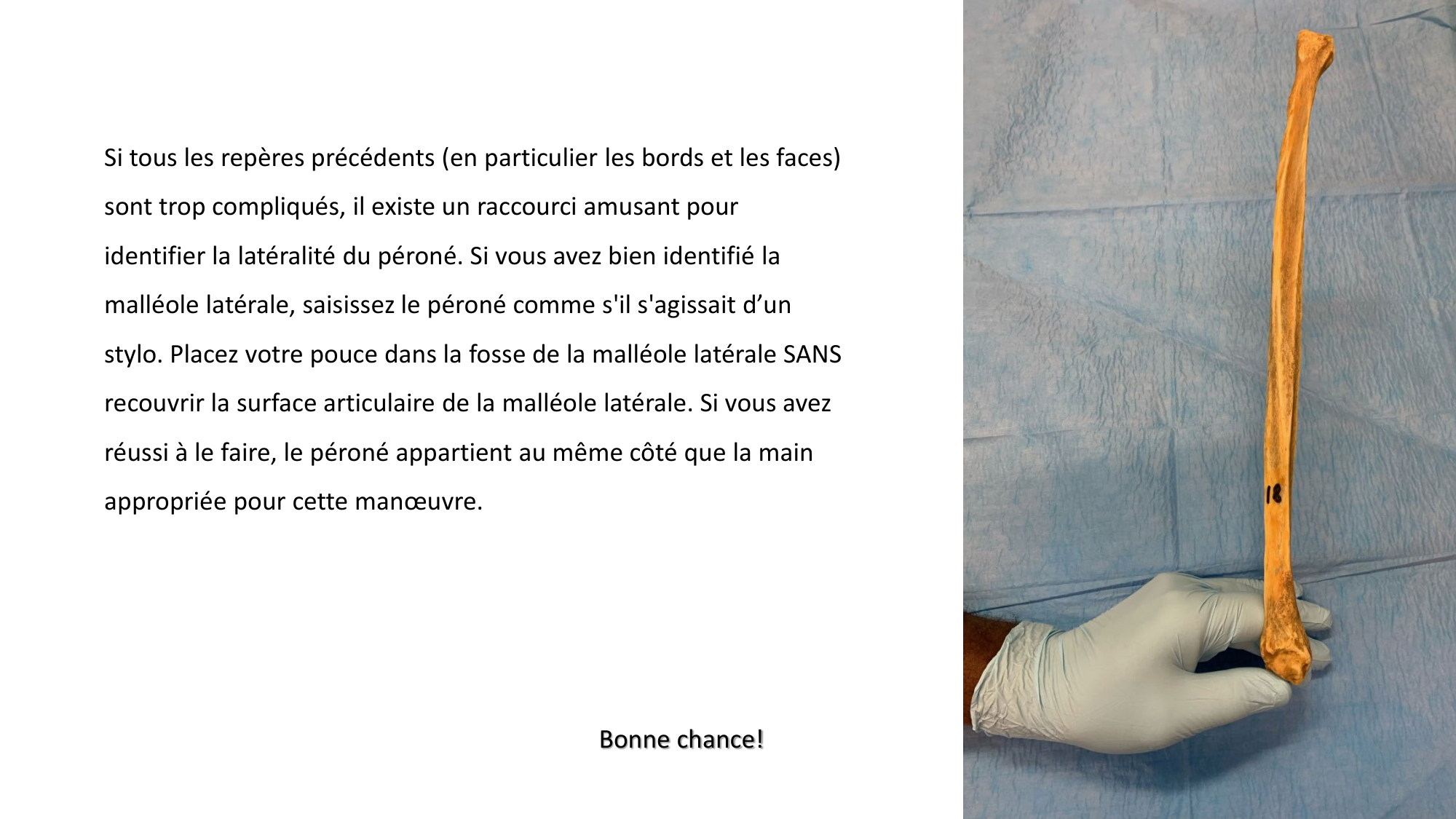 Repérage de la latéralité de la fibula page 9
