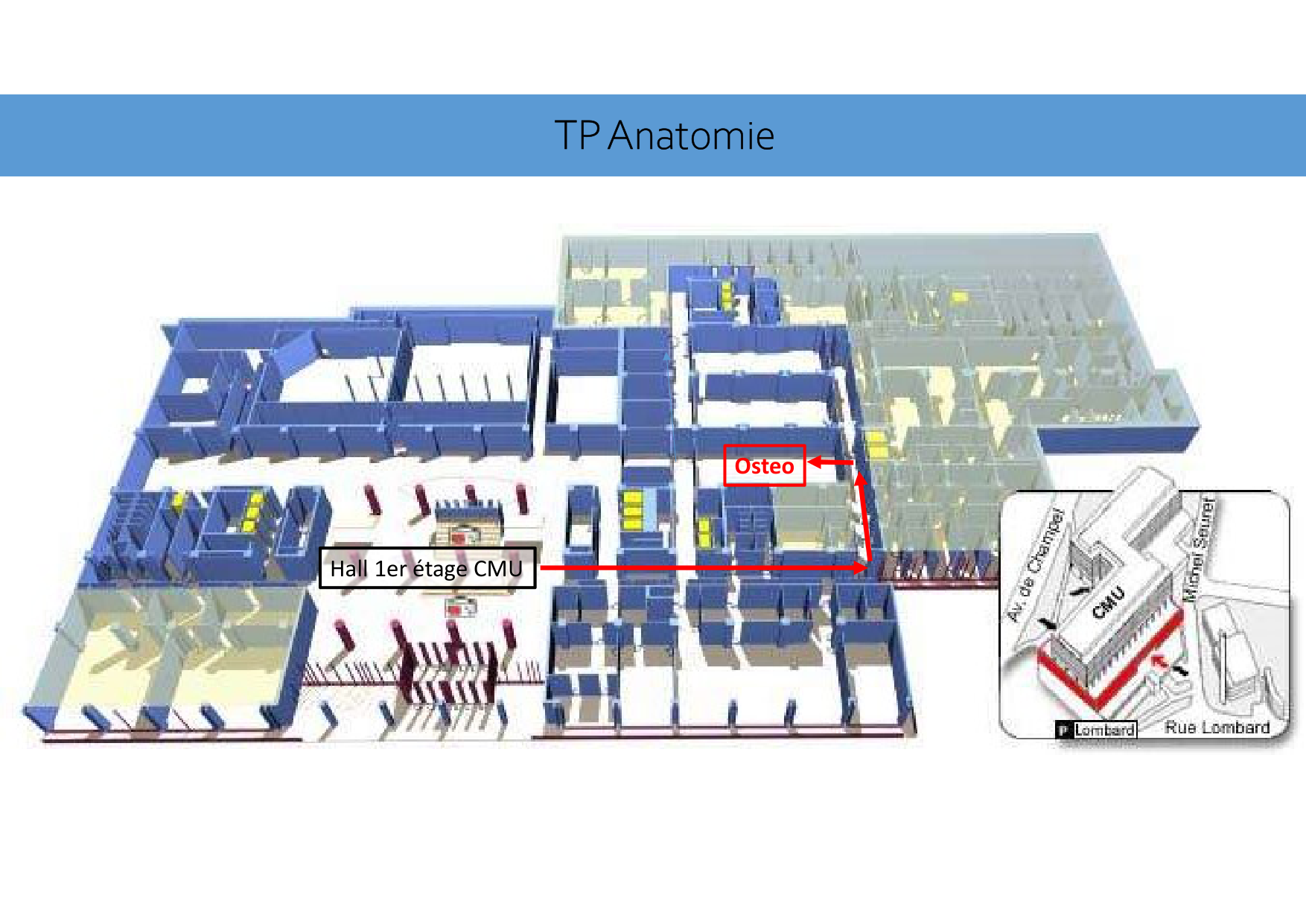 Salle TP Osteologie page 1