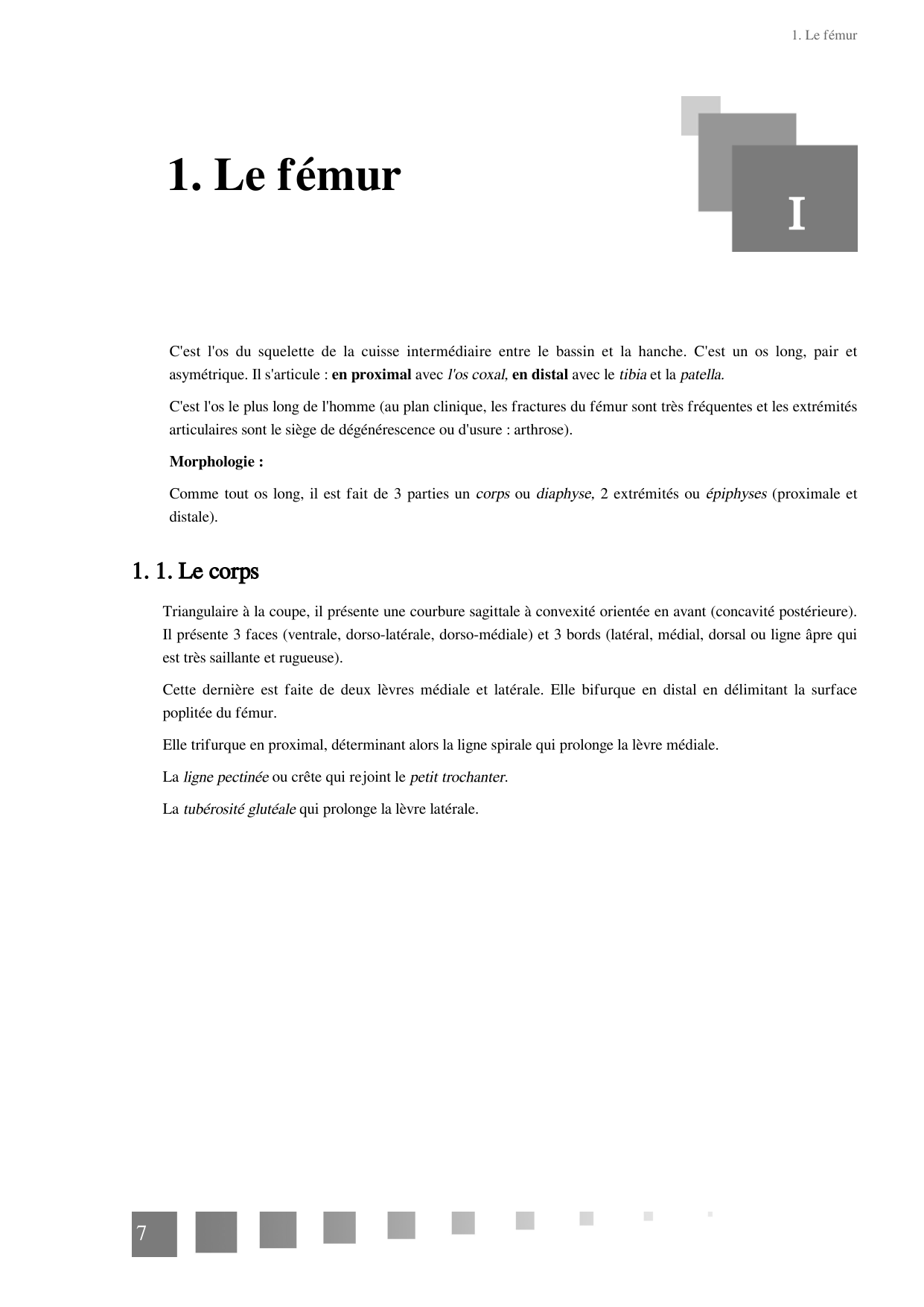 TP Membre Pelvien 2022 page 7