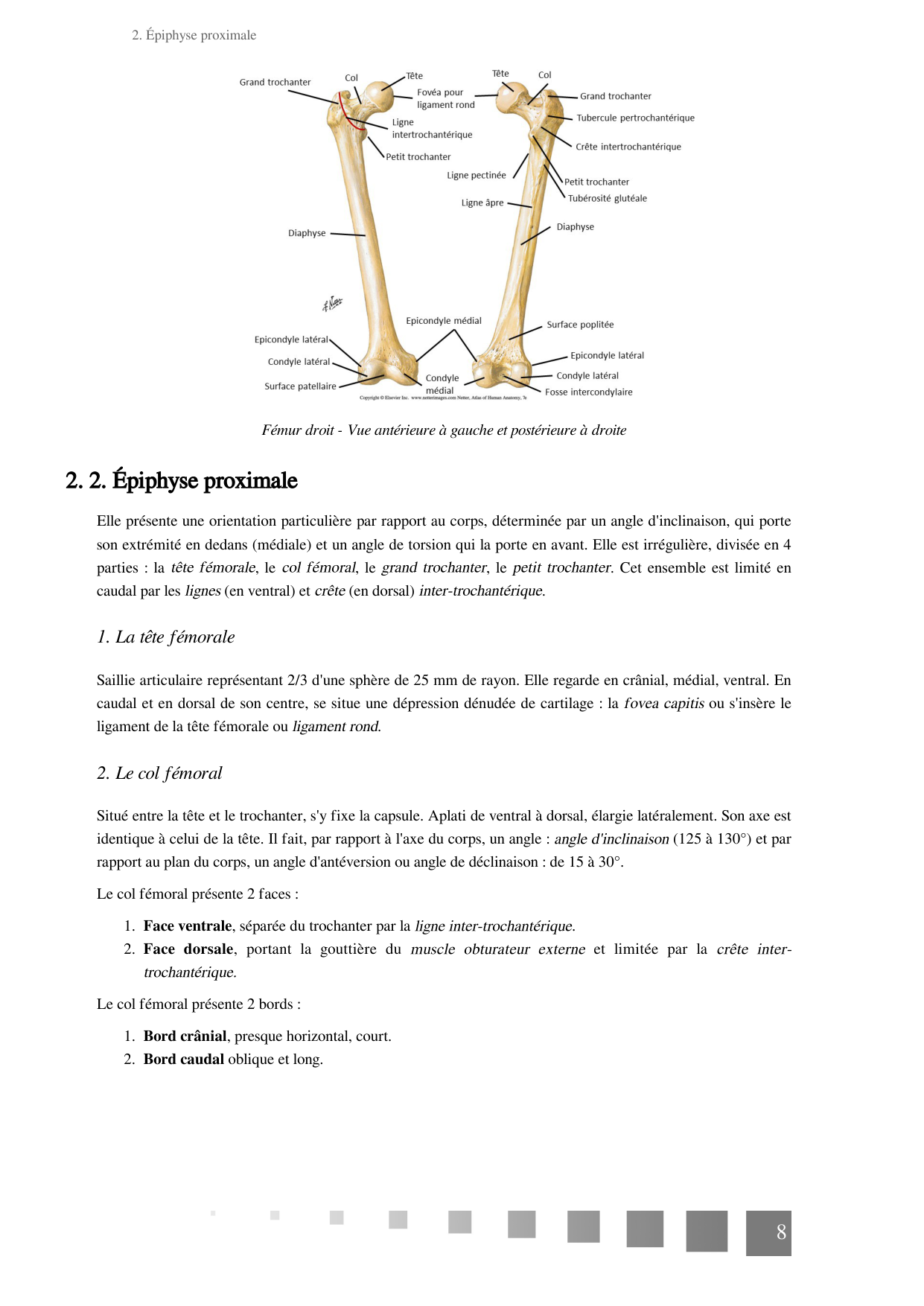 TP Membre Pelvien 2022 page 8