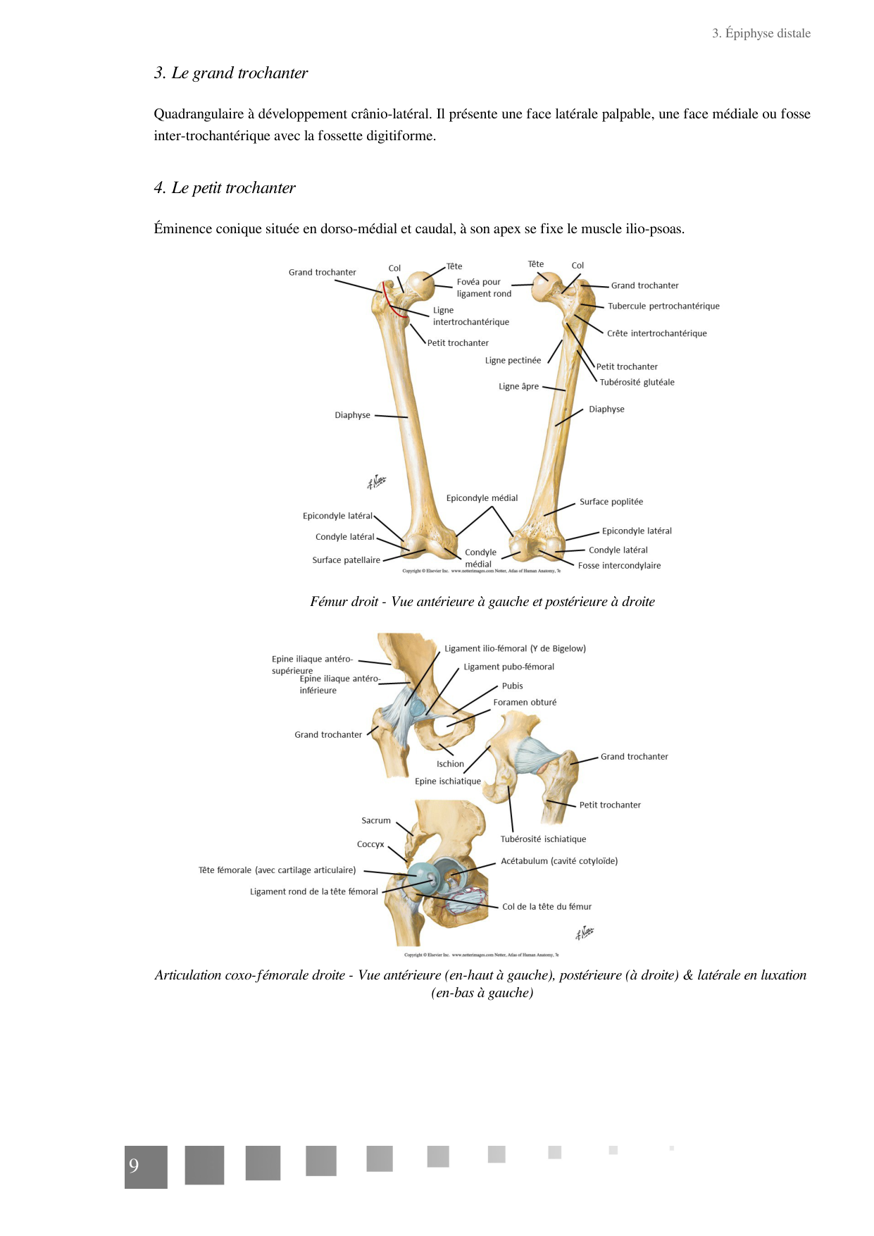 TP Membre Pelvien 2022 page 9