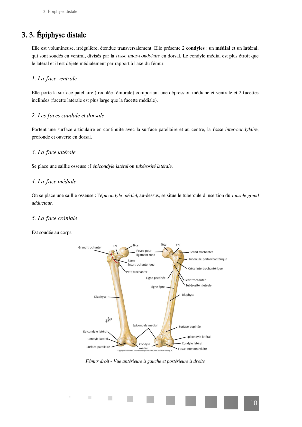 TP Membre Pelvien 2022 page 10