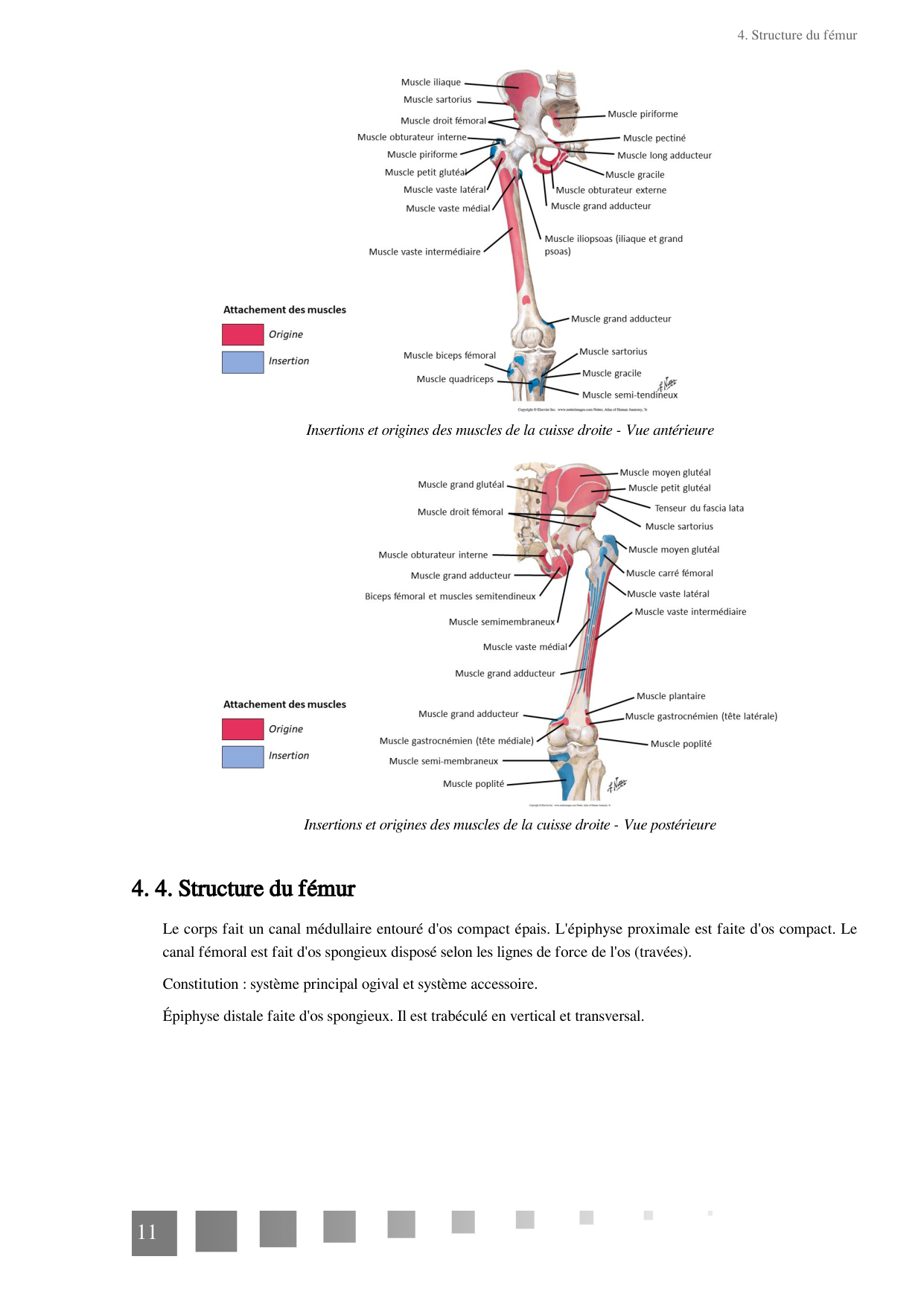 TP Membre Pelvien 2022 page 11