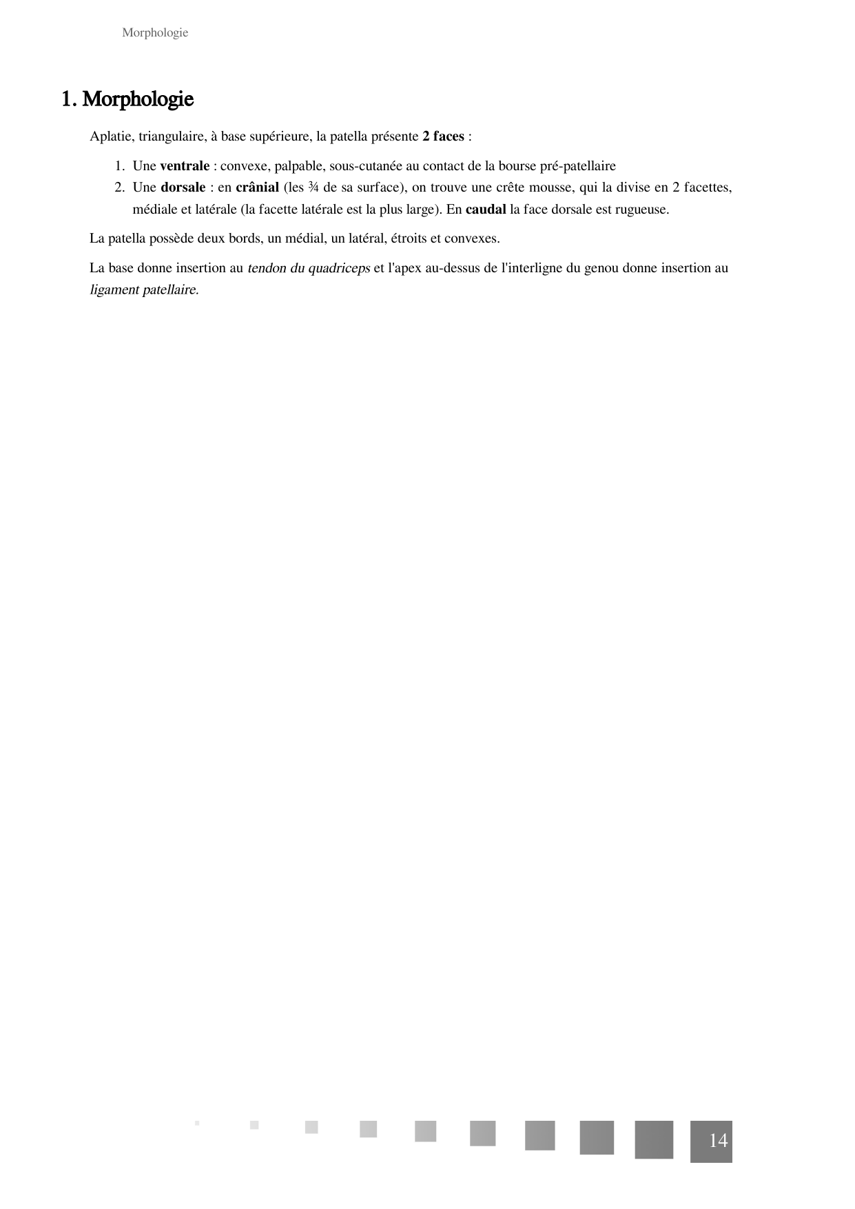 TP Membre Pelvien 2022 page 14