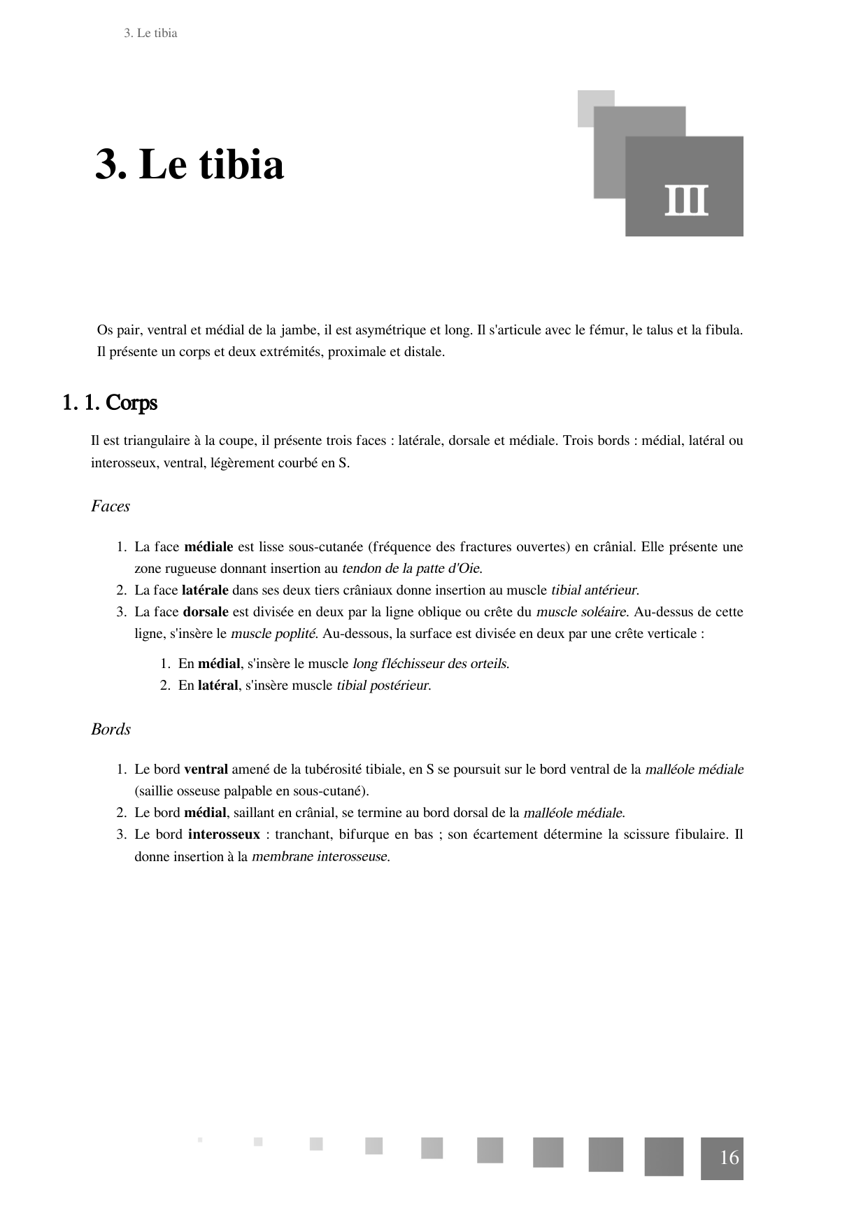 TP Membre Pelvien 2022 page 16