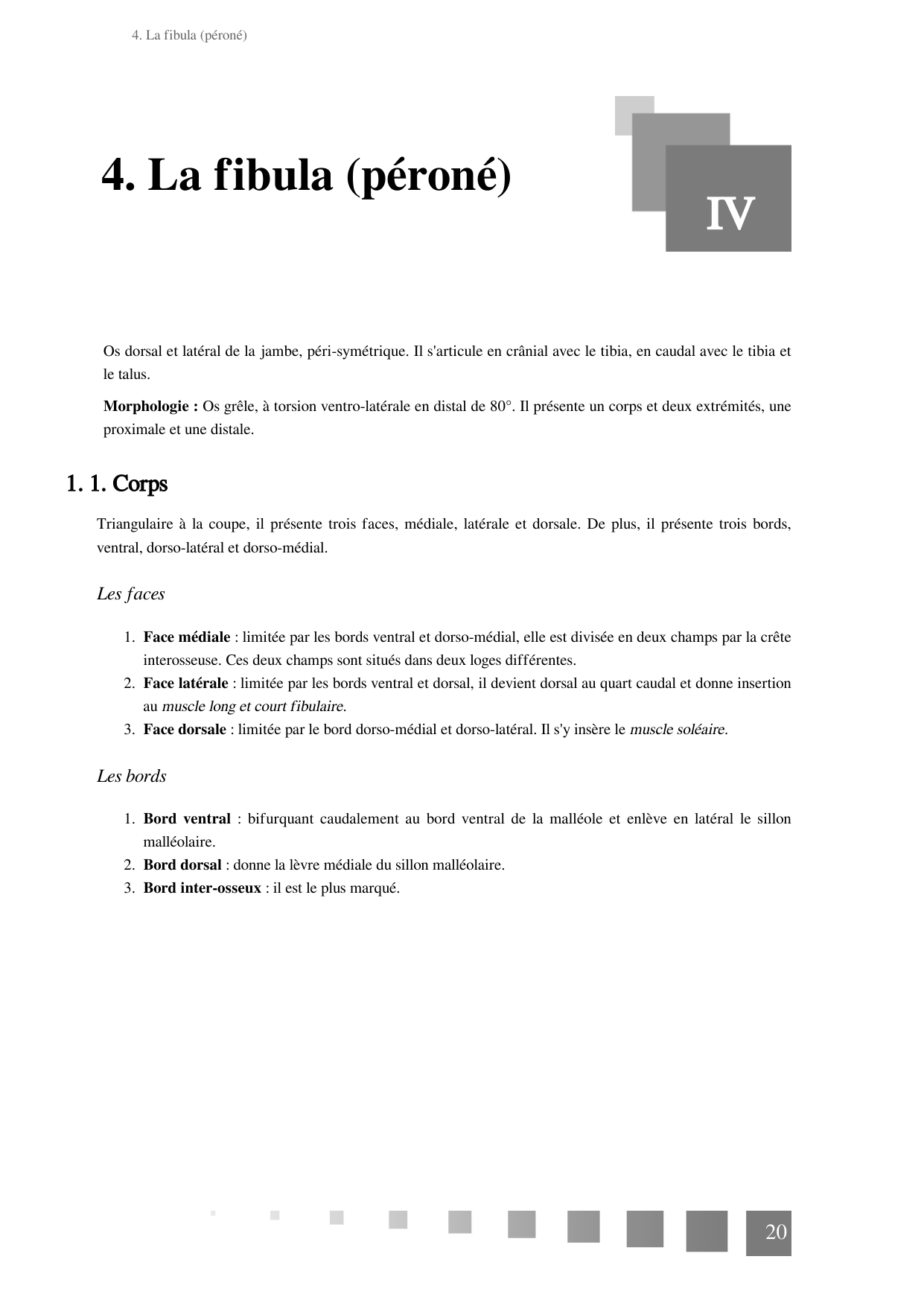 TP Membre Pelvien 2022 page 20