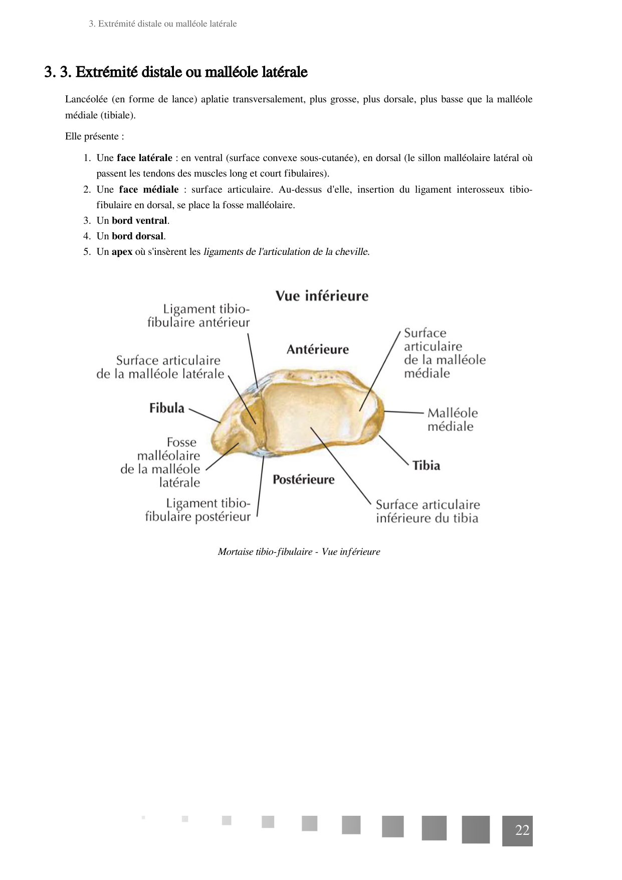 TP Membre Pelvien 2022 page 22