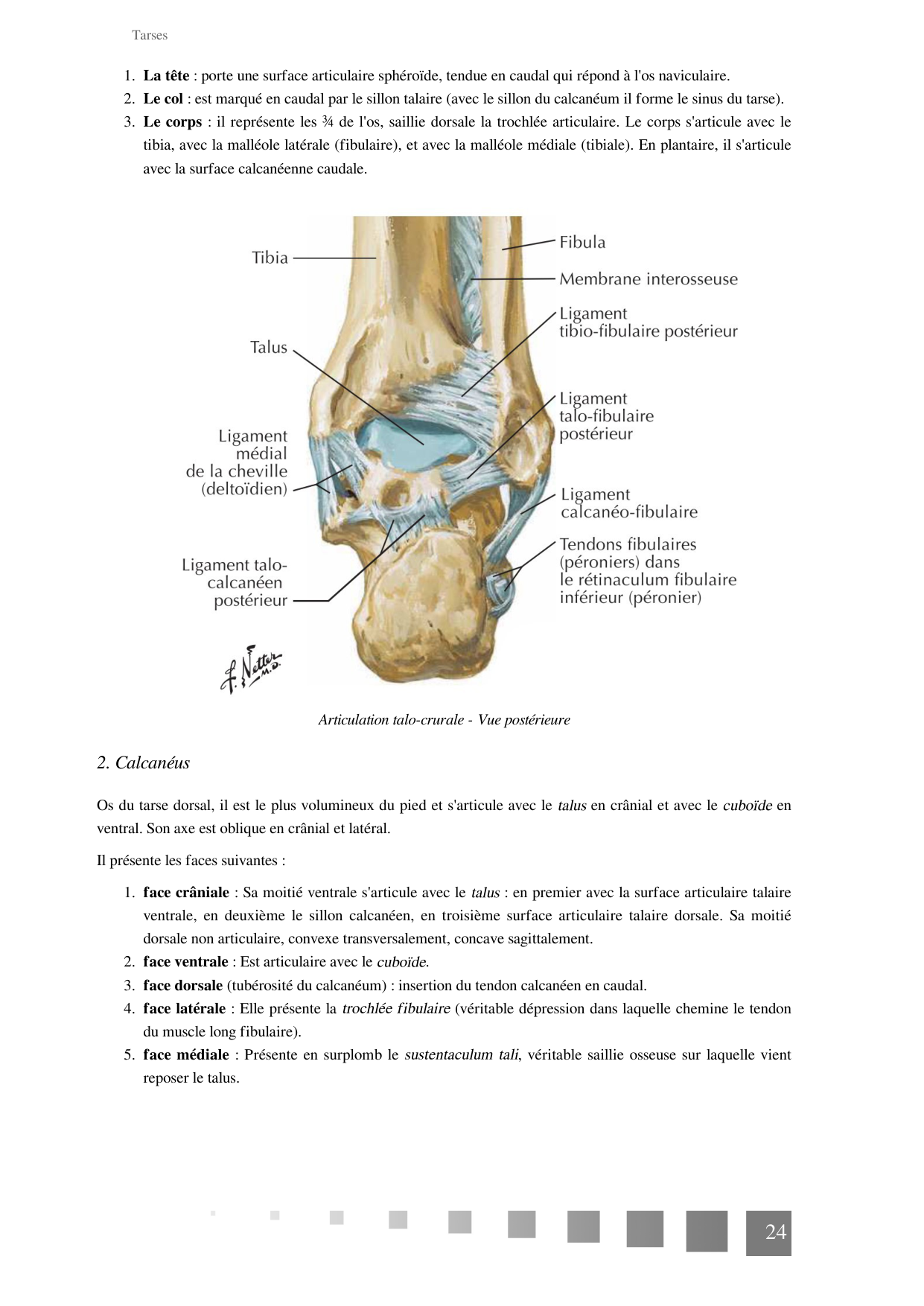 TP Membre Pelvien 2022 page 24
