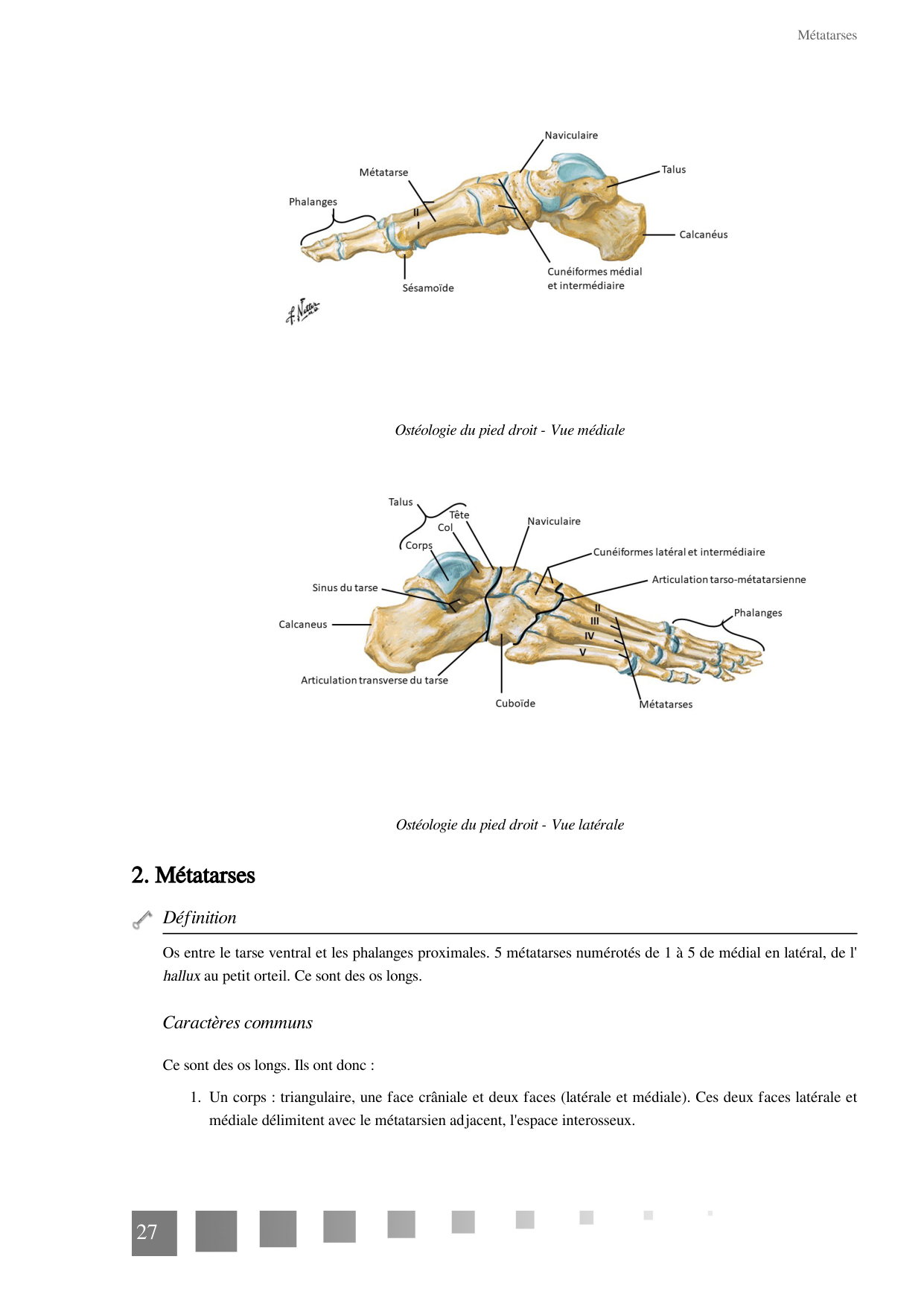 TP Membre Pelvien 2022 page 27