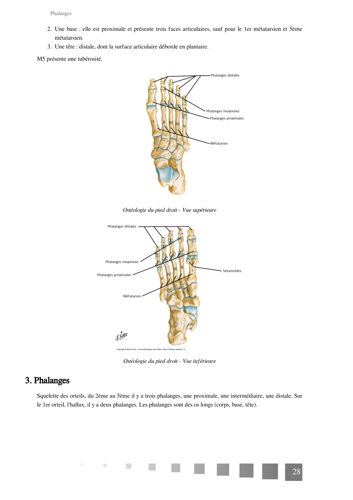 TP Membre Pelvien 2022 page 28