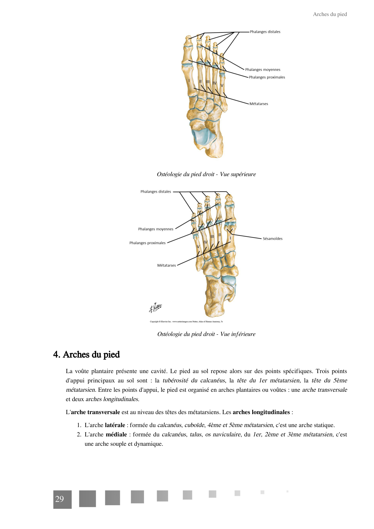 TP Membre Pelvien 2022 page 29