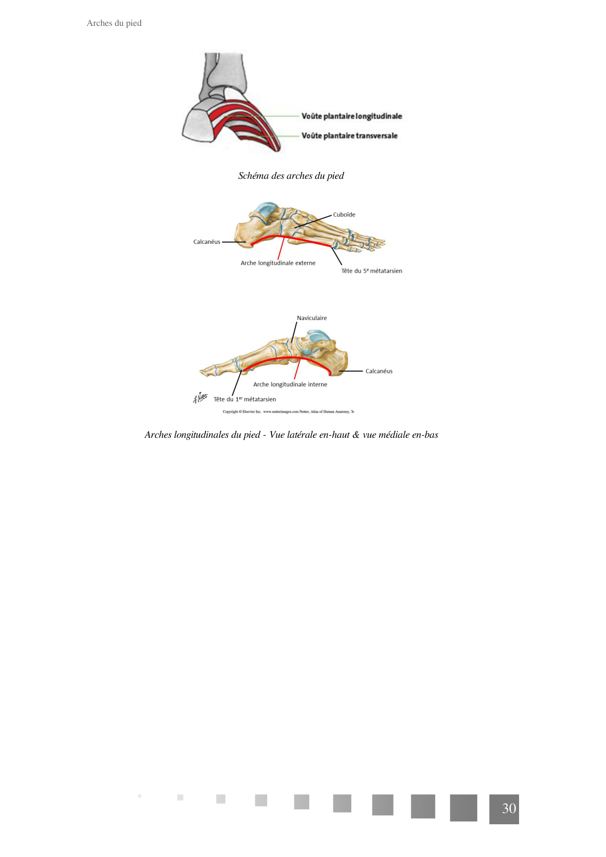 TP Membre Pelvien 2022 page 30
