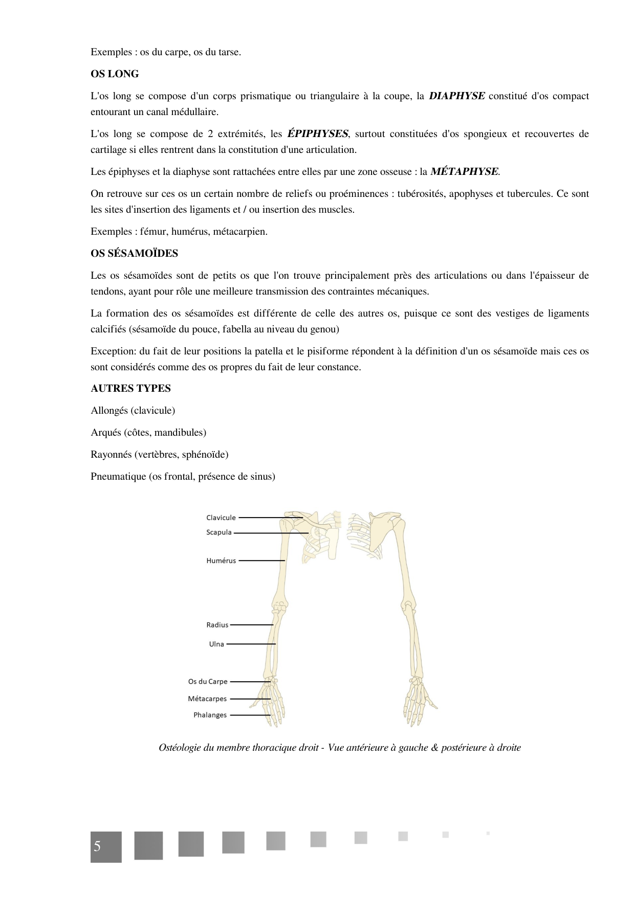 TP Membre Thoracique 2022 page 5