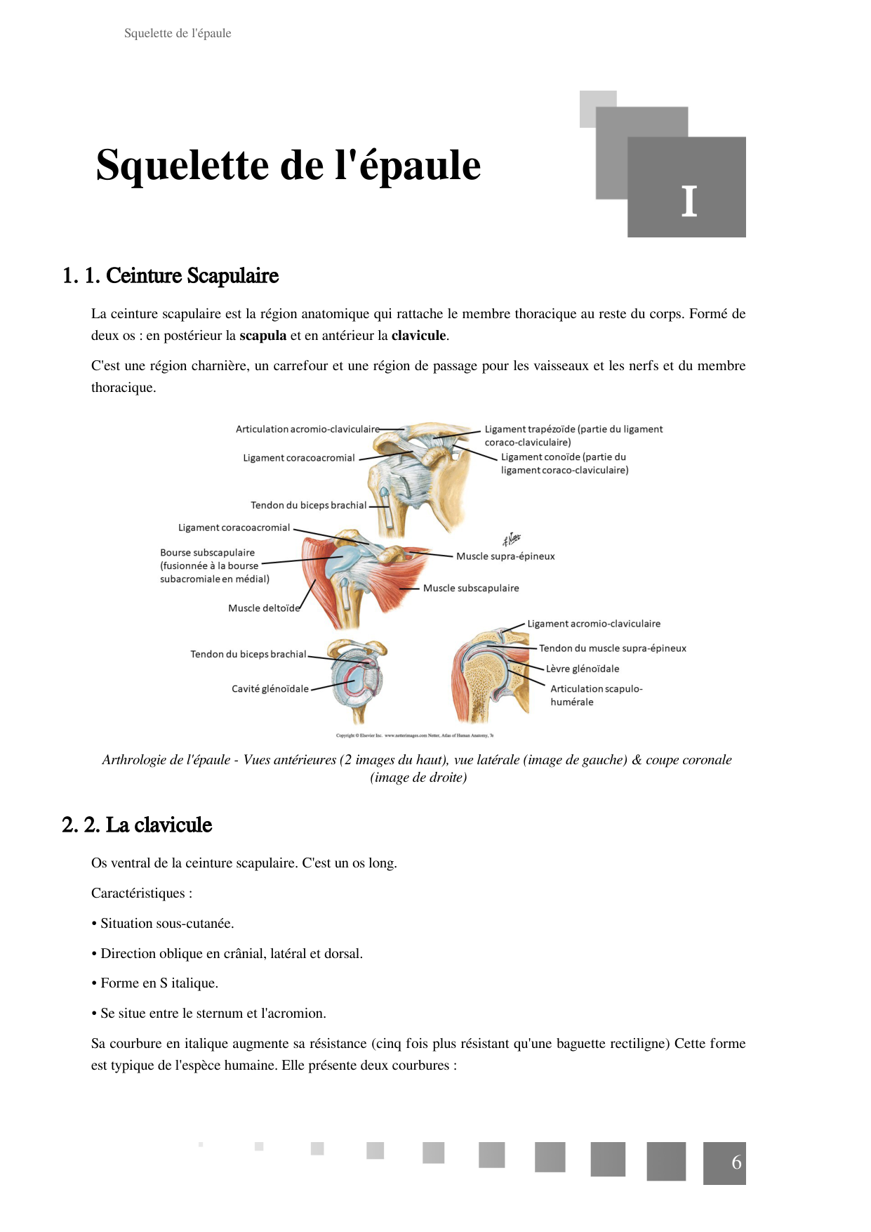 TP Membre Thoracique 2022 page 6