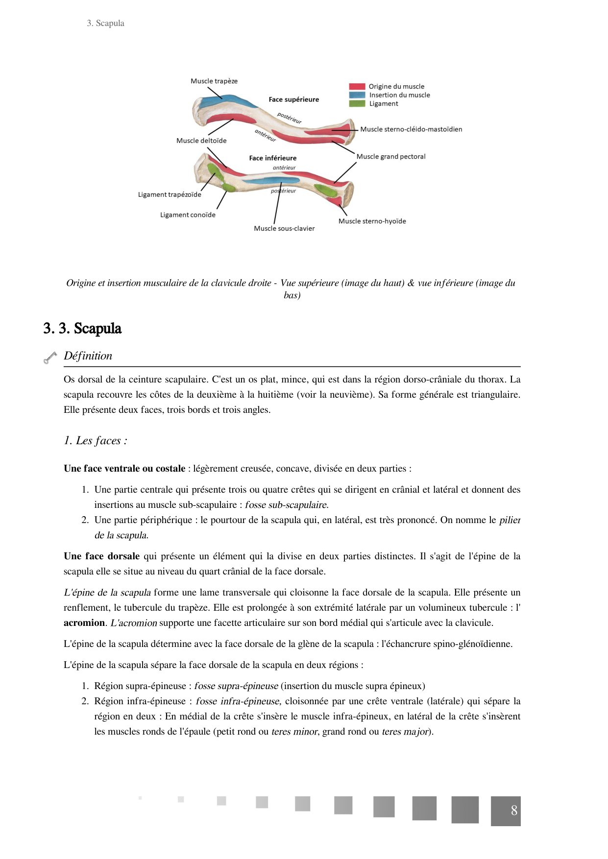 TP Membre Thoracique 2022 page 8