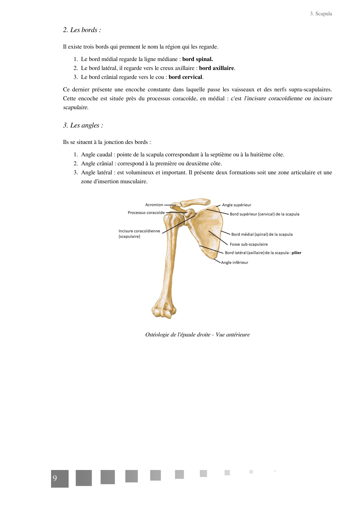 TP Membre Thoracique 2022 page 9