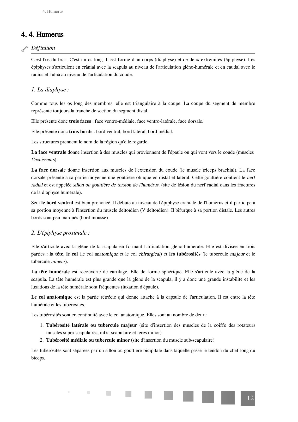 TP Membre Thoracique 2022 page 12