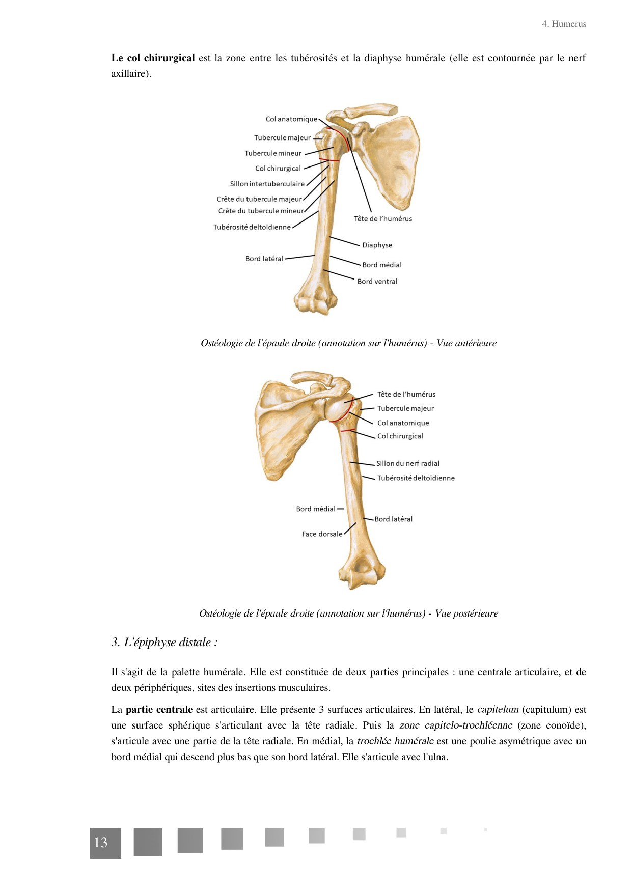 TP Membre Thoracique 2022 page 13