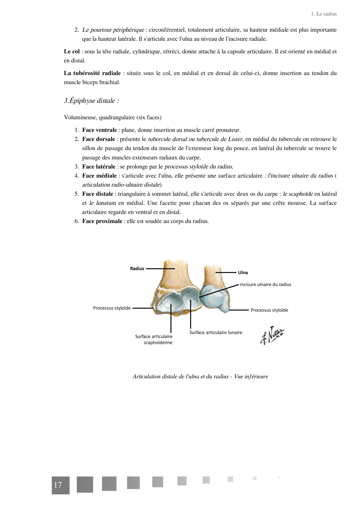 TP Membre Thoracique 2022 page 17