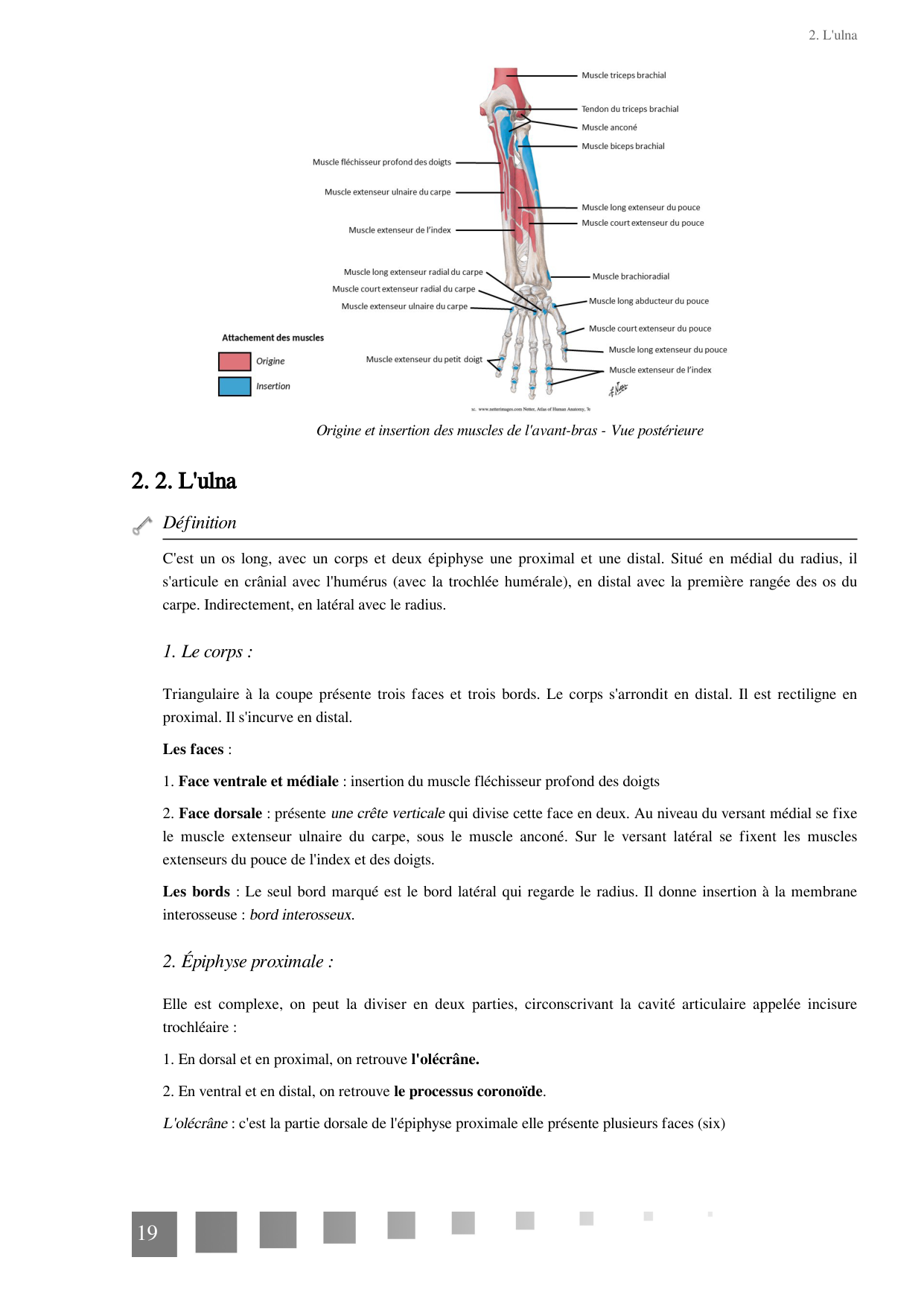 TP Membre Thoracique 2022 page 19