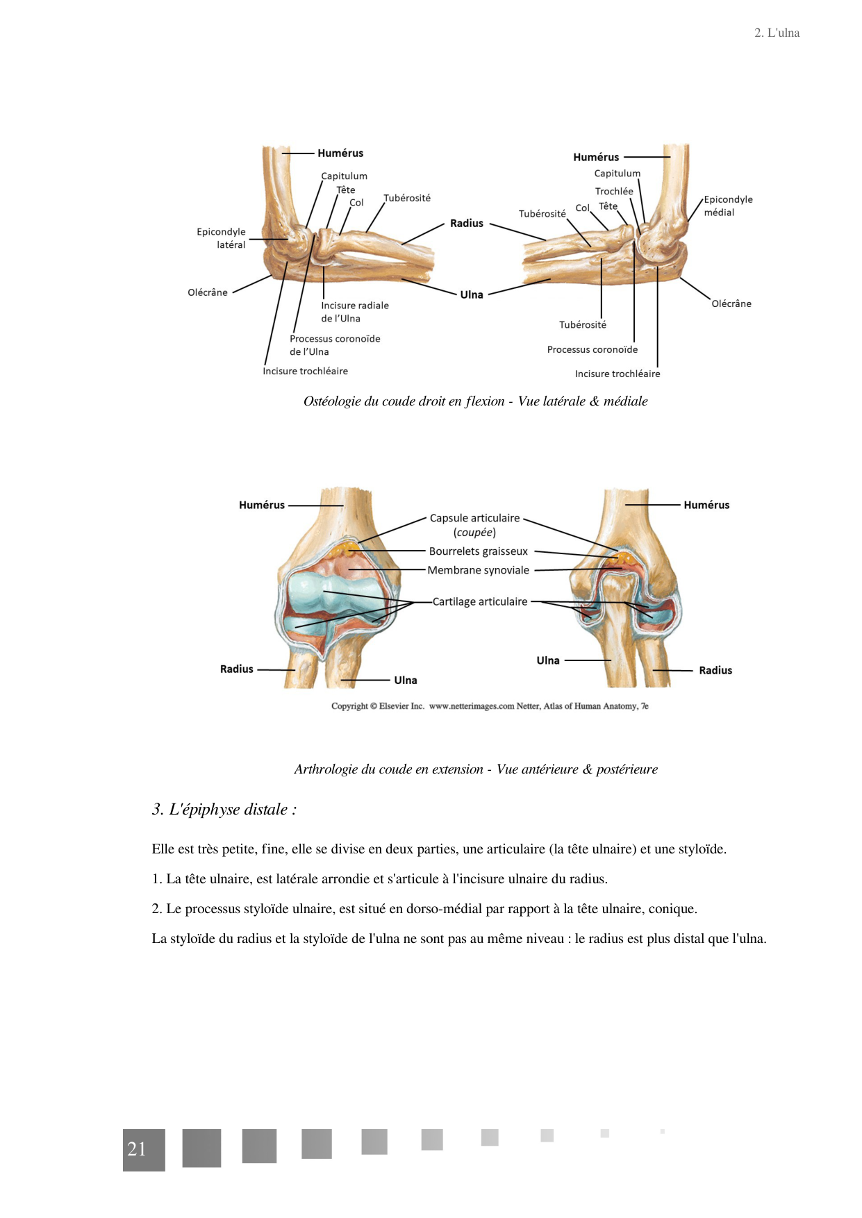 TP Membre Thoracique 2022 page 21